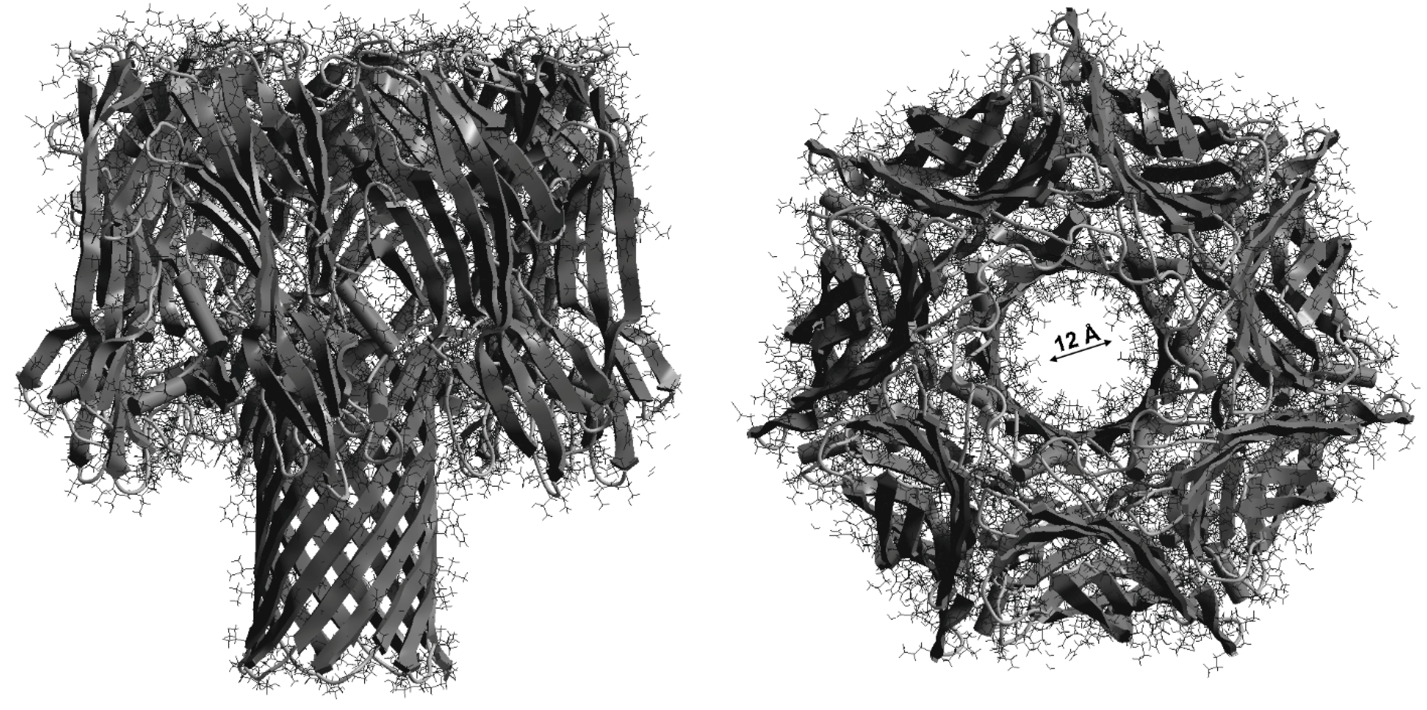 Molecules 28 01252 g008