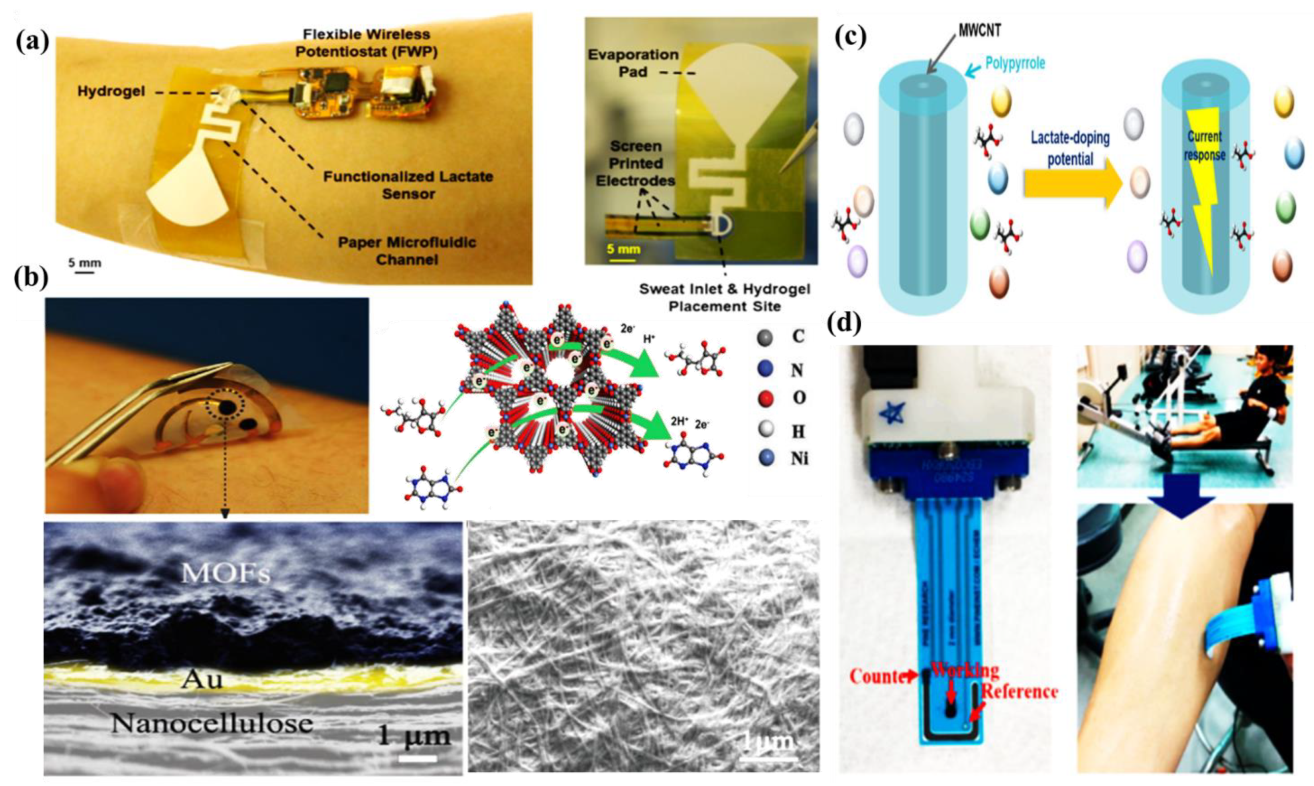 Molecules 28 01259 g005