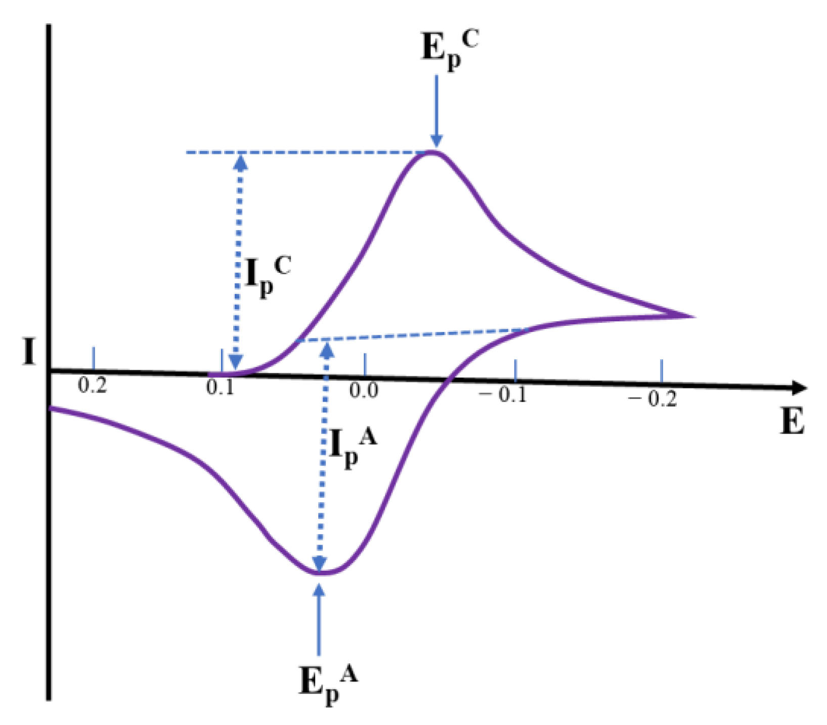 Molecules 28 01259 g007