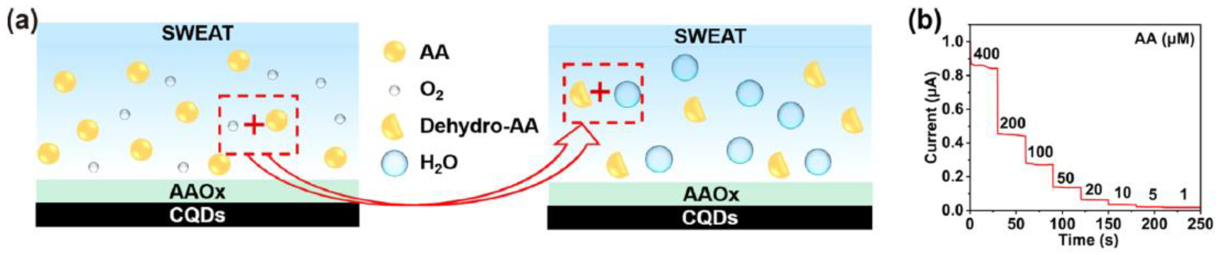 Molecules 28 01259 g013