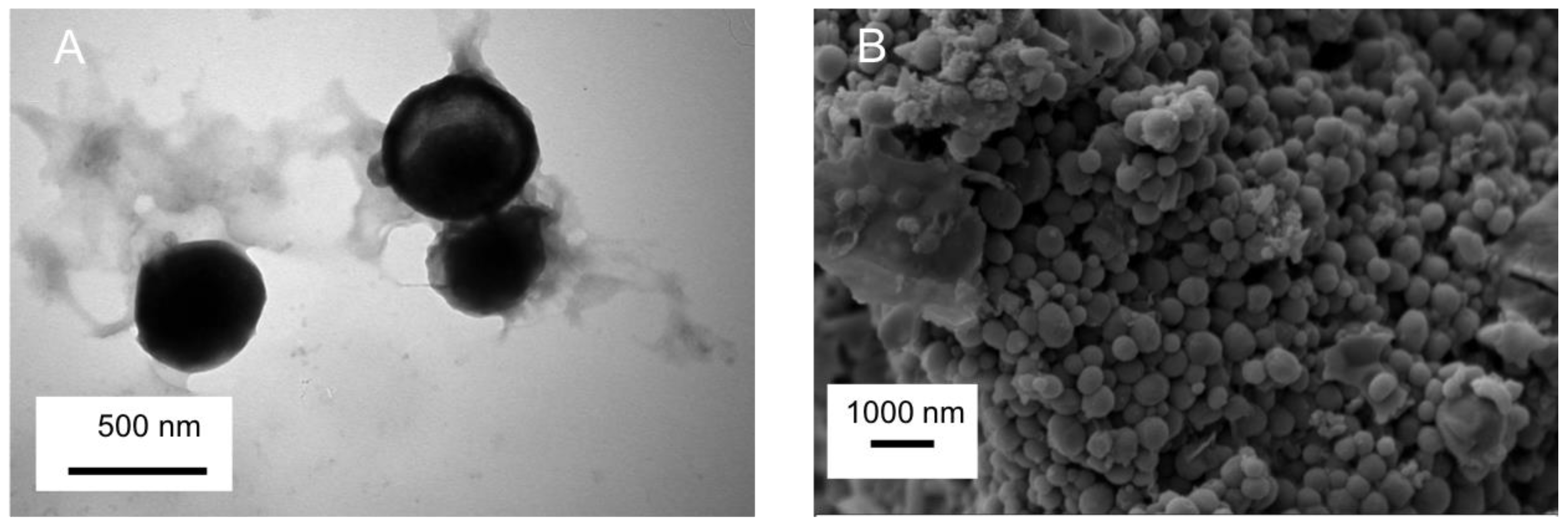 Molecules 28 01260 g001 Molecules 28 01260 g001
