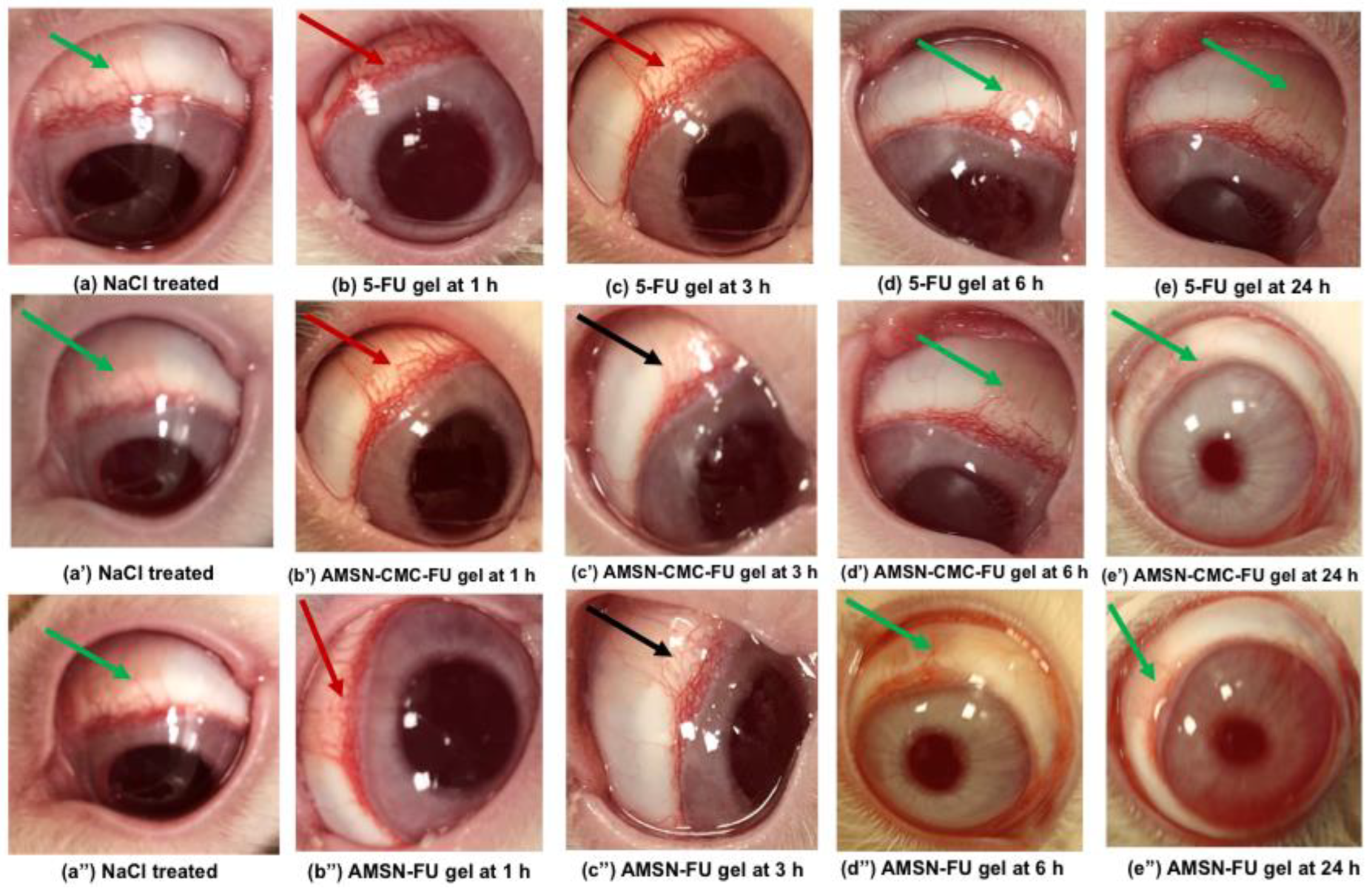 Molecules 28 01260 g011 Molecules 28 01260 g011