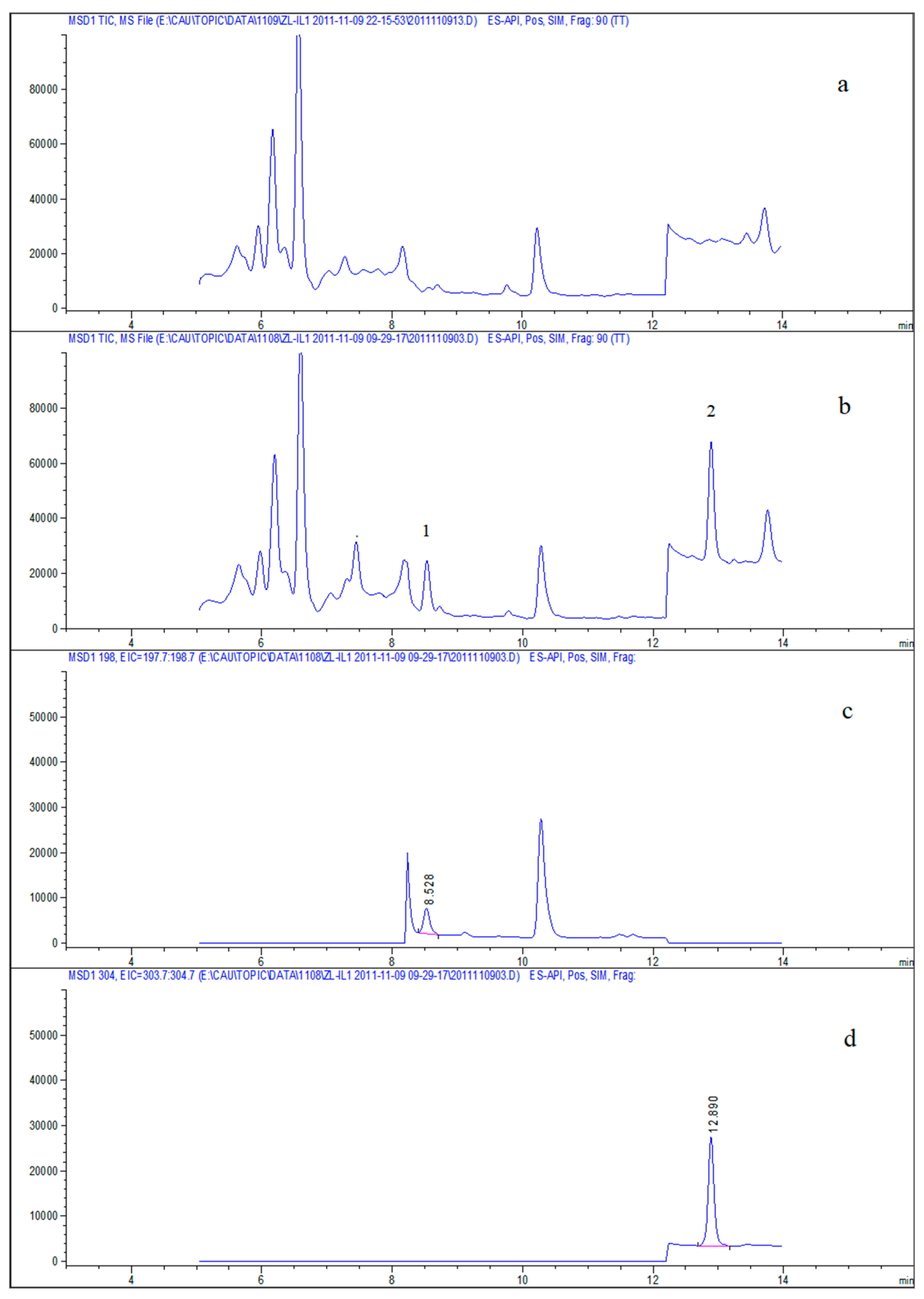 Molecules 28 01263 g006