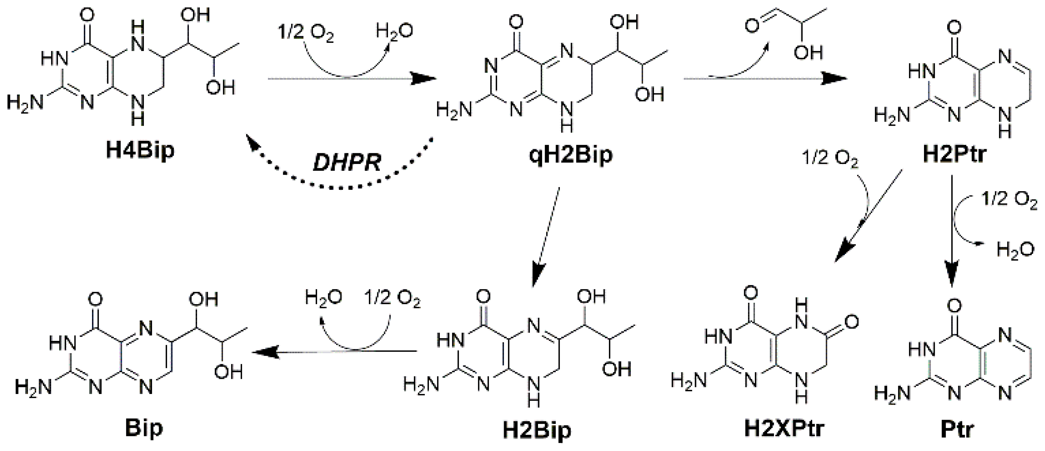 Molecules 28 01267 g001 Molecules 28 01267 g001