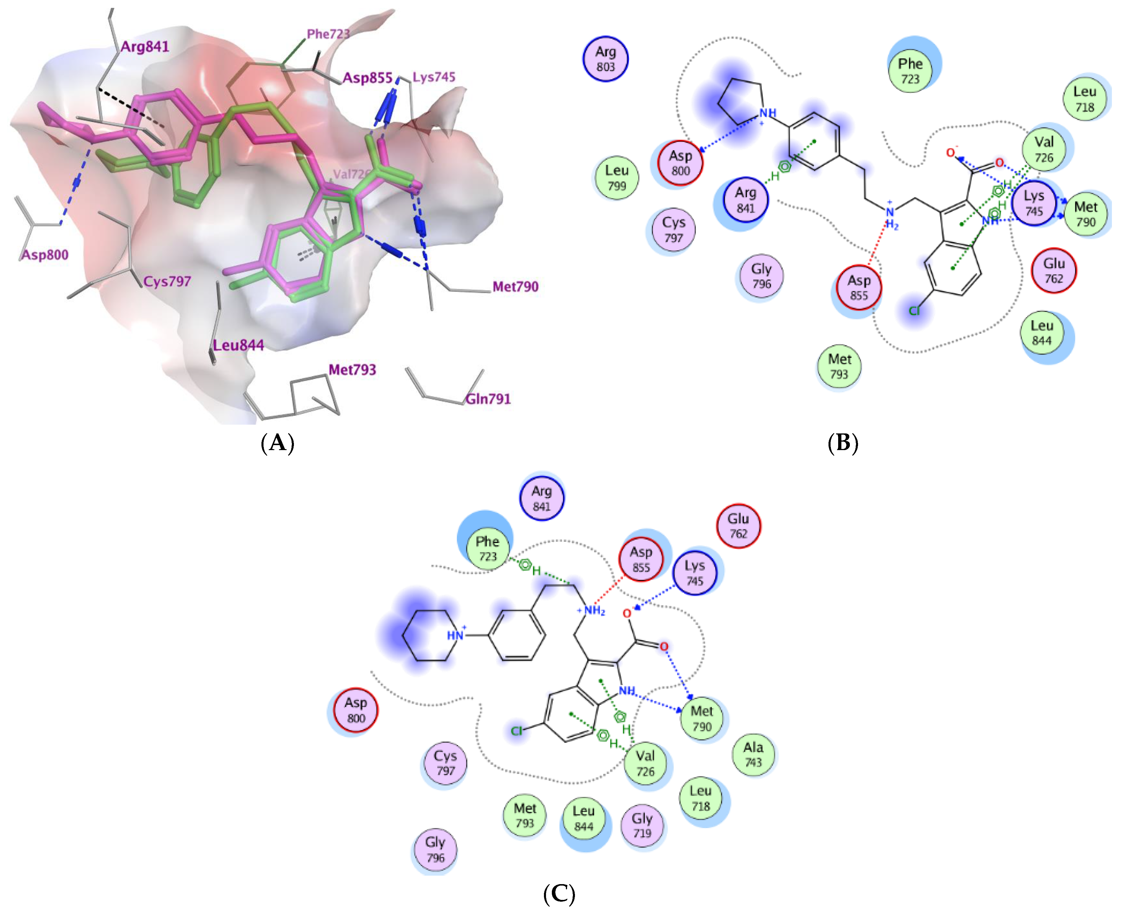Molecules 28 01269 g003 Molecules 28 01269 g003