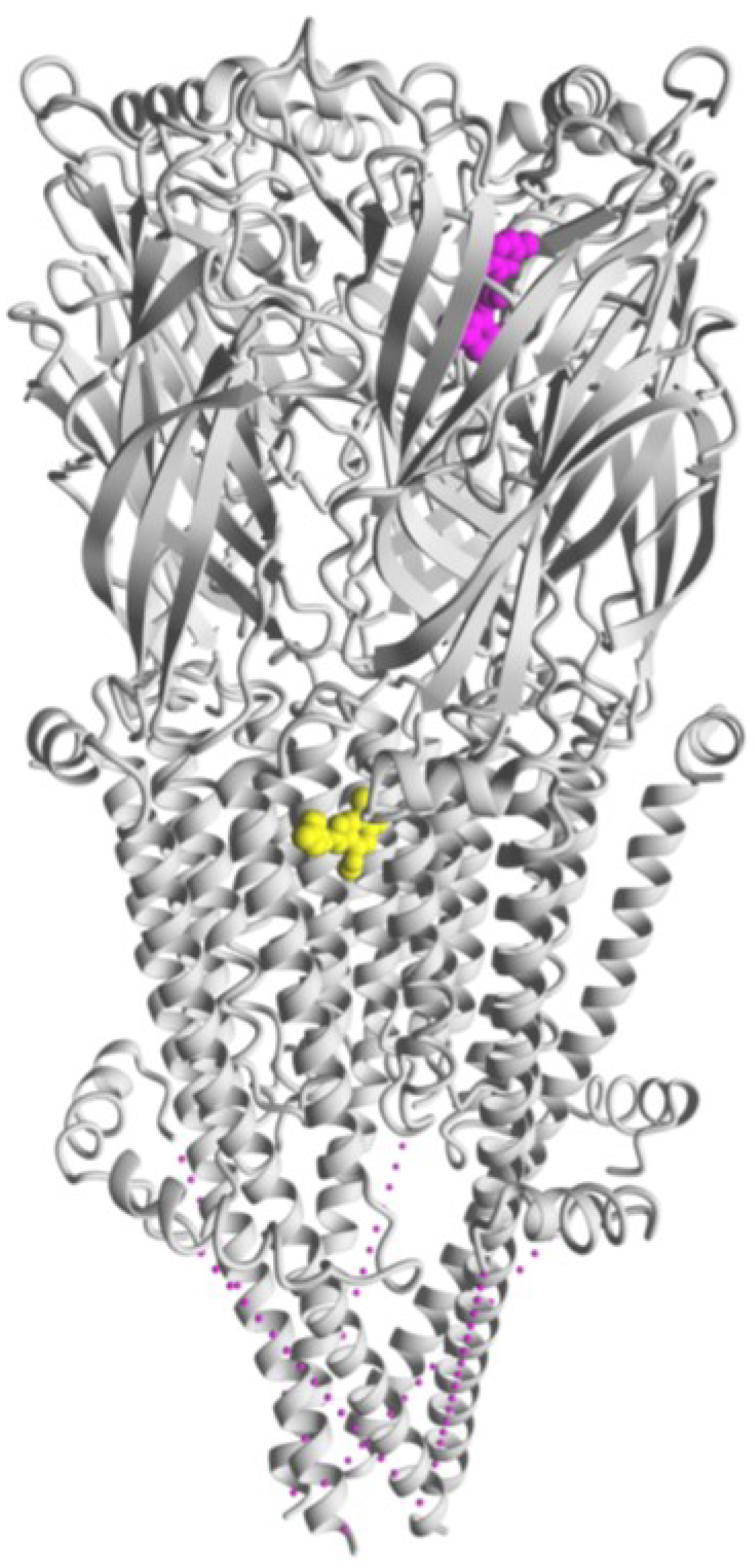 Molecules 28 01270 g005 Molecules 28 01270 g005