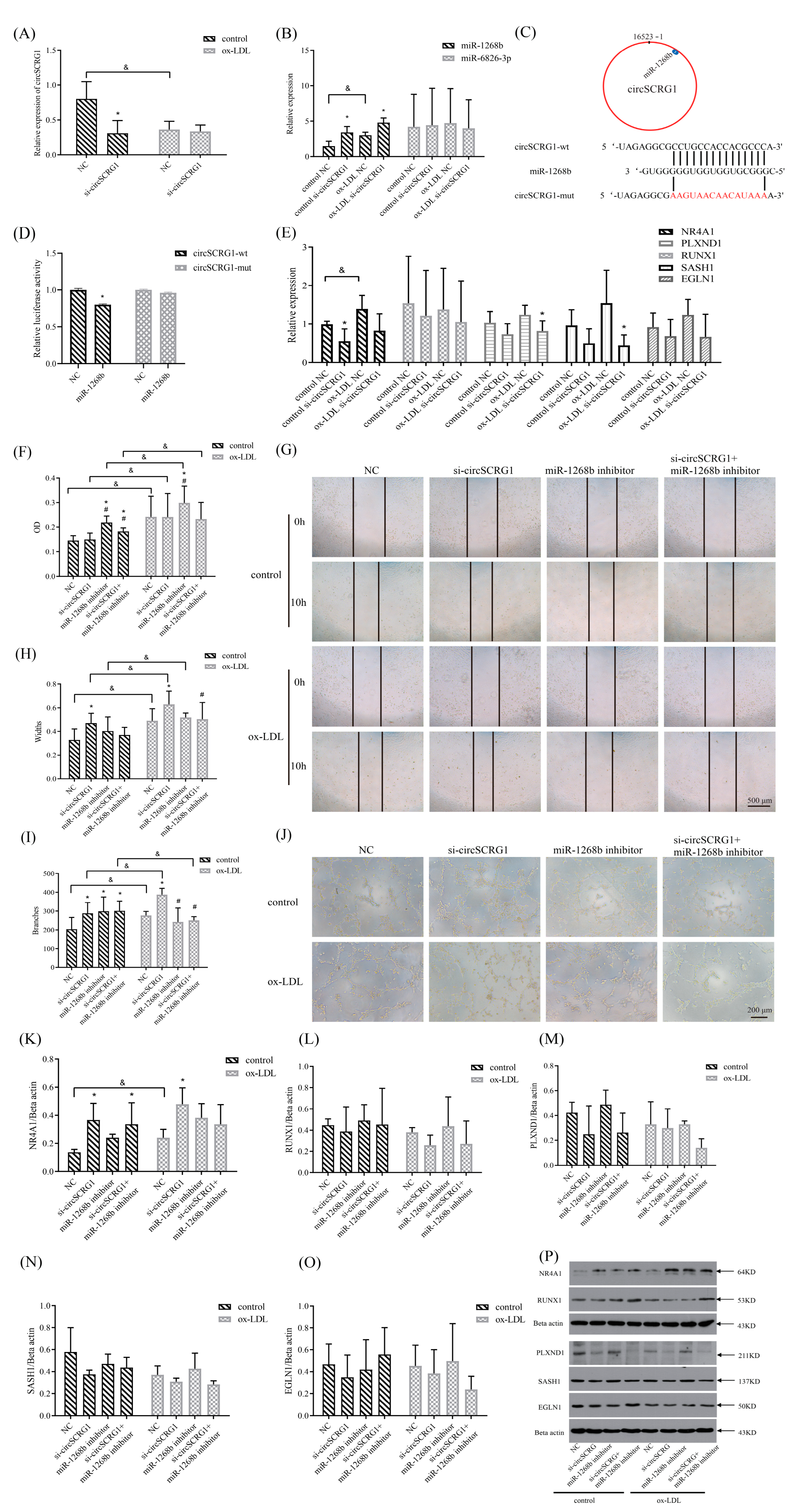 Molecules 28 01271 g003 Molecules 28 01271 g003