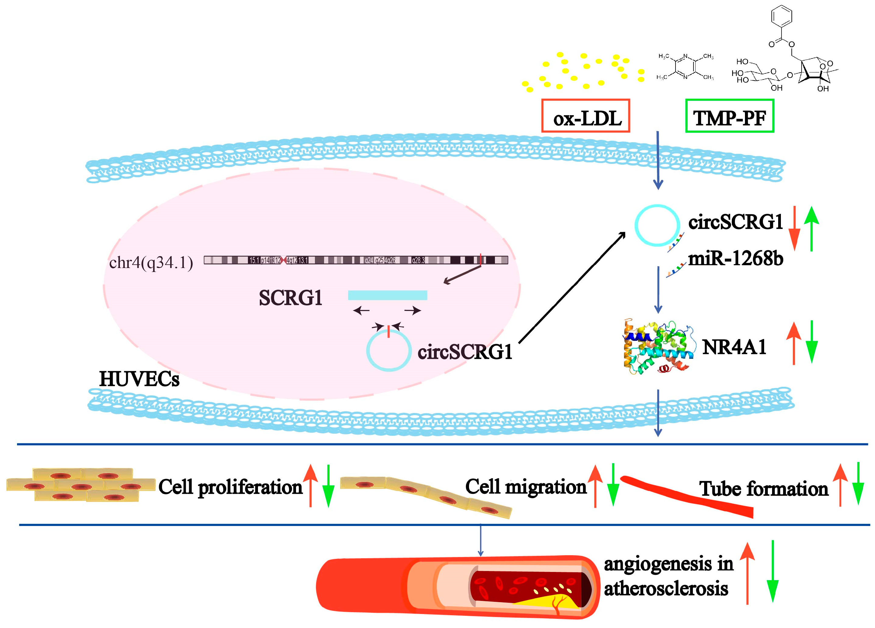 Molecules 28 01271 g005 Molecules 28 01271 g005
