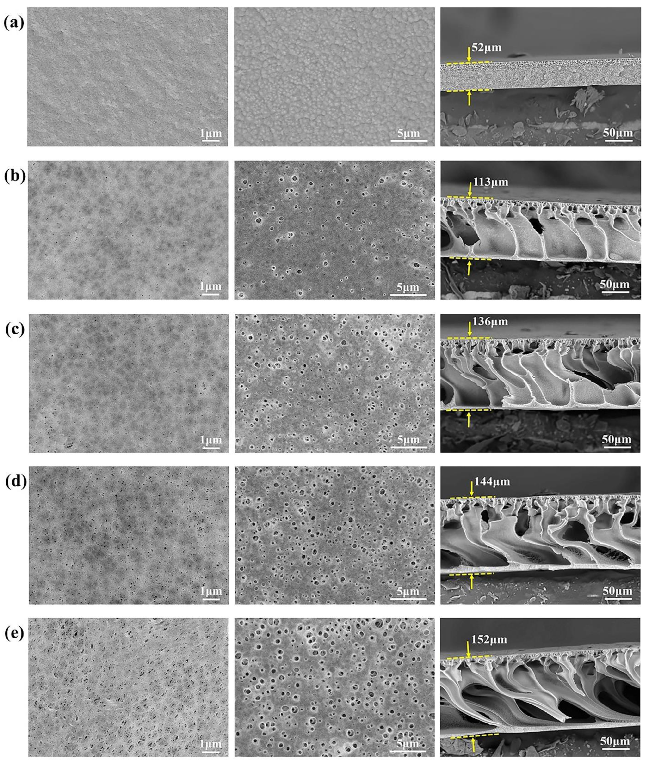 Molecules 28 01282 g003 Molecules 28 01282 g003