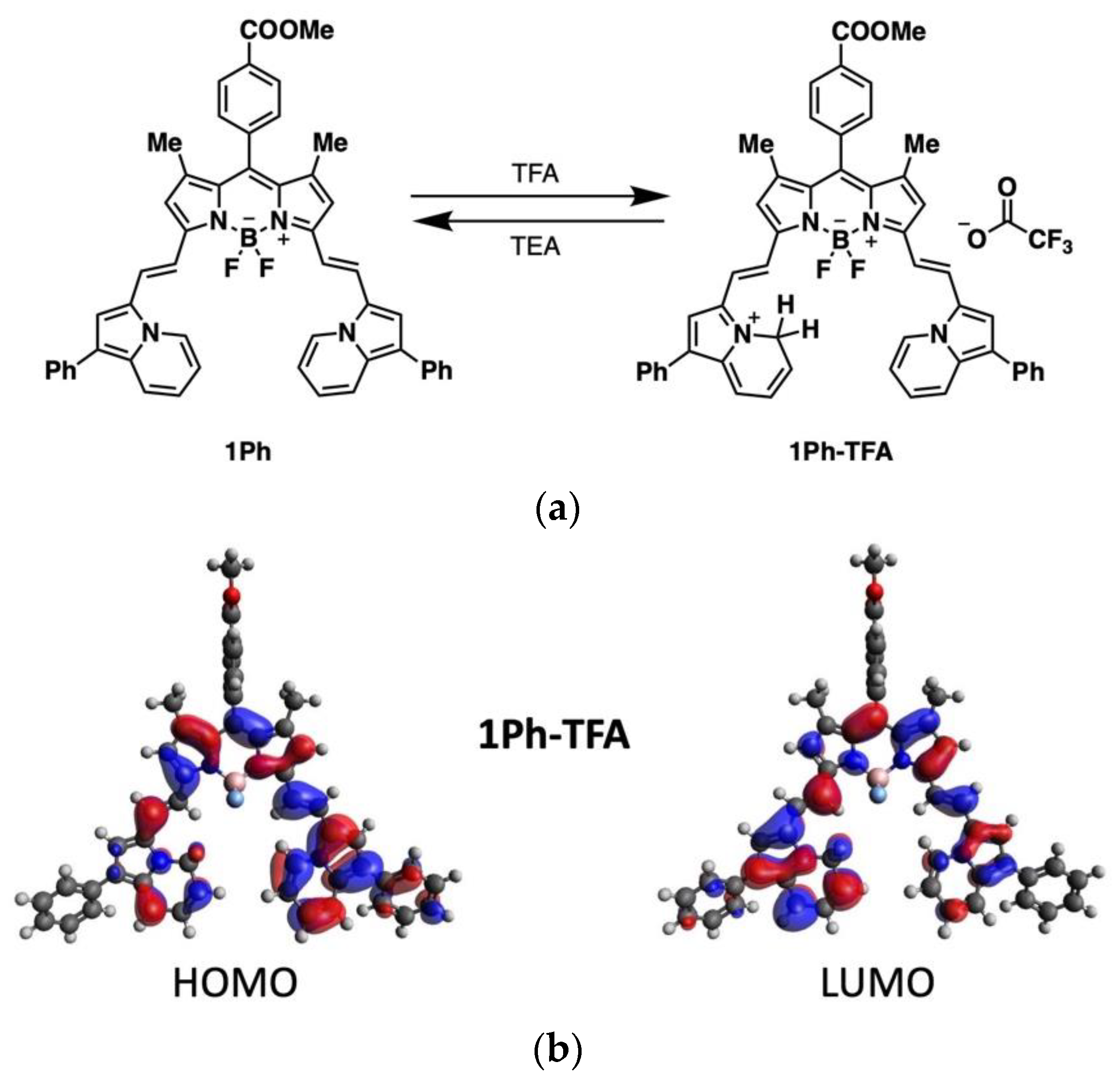 Molecules 28 01287 g004