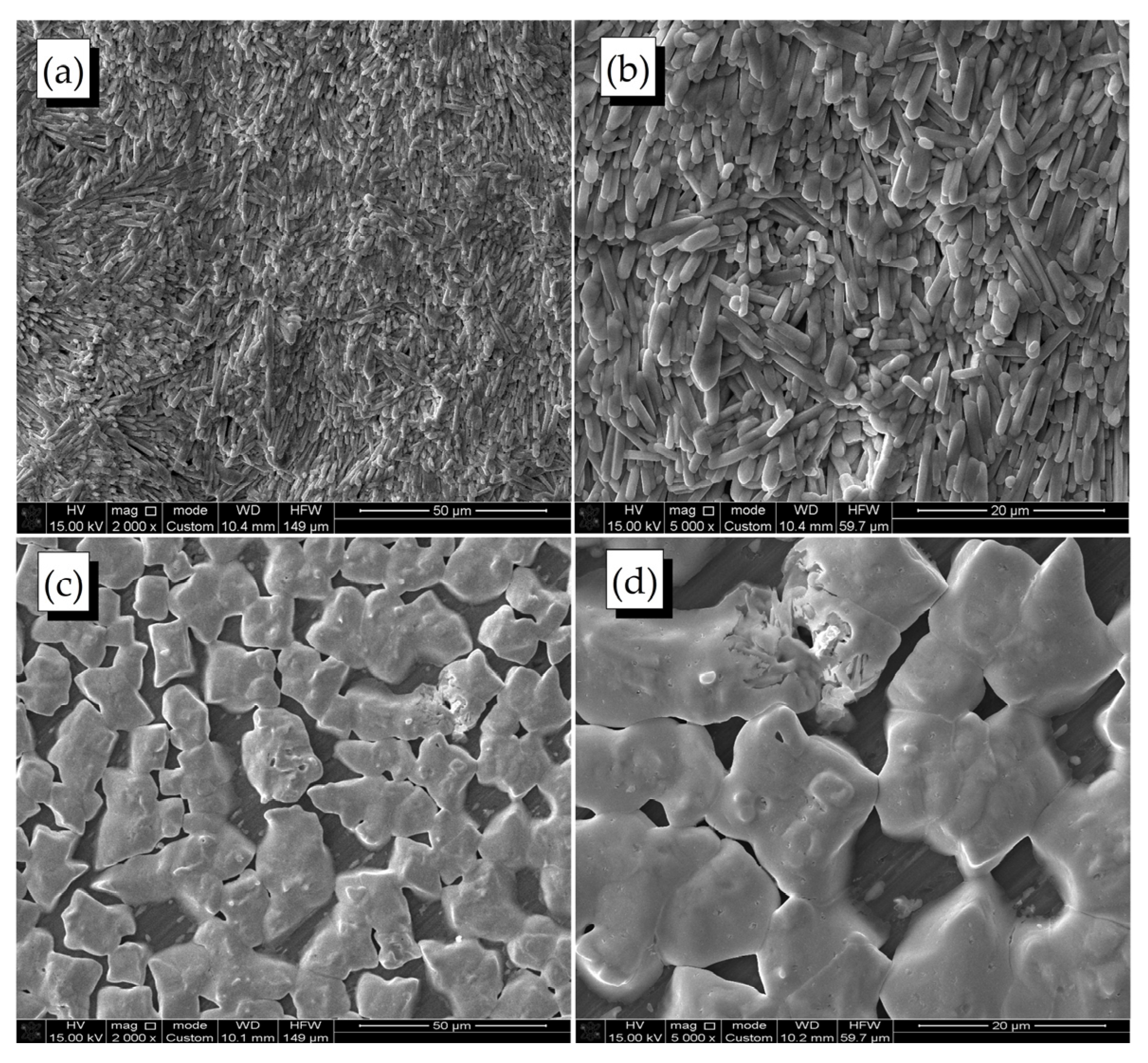Molecules 28 01288 g004
