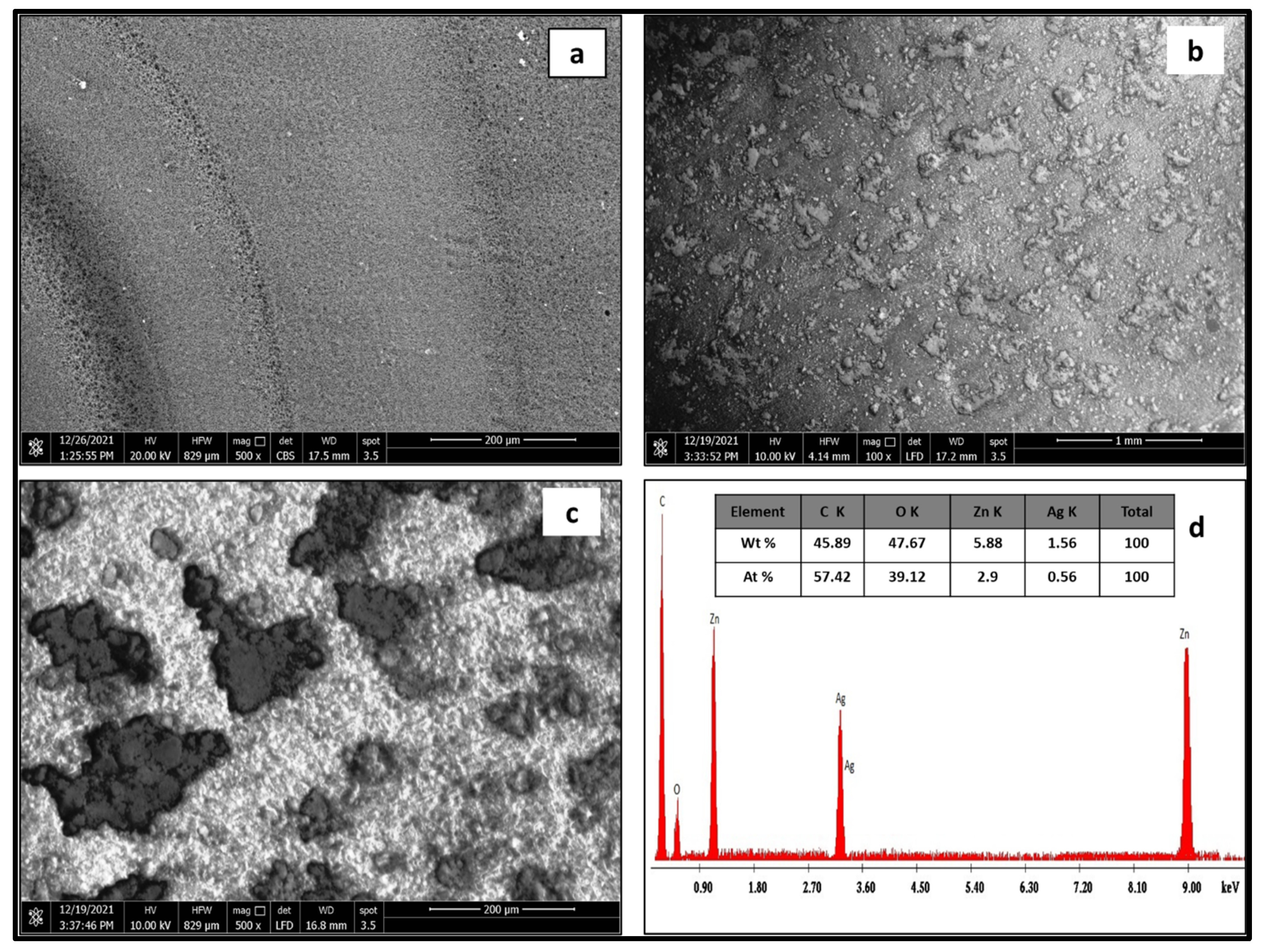 Molecules 28 01290 g003
