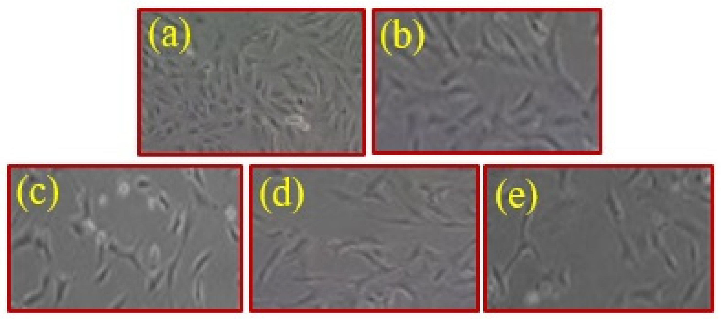 Molecules 28 01290 g008