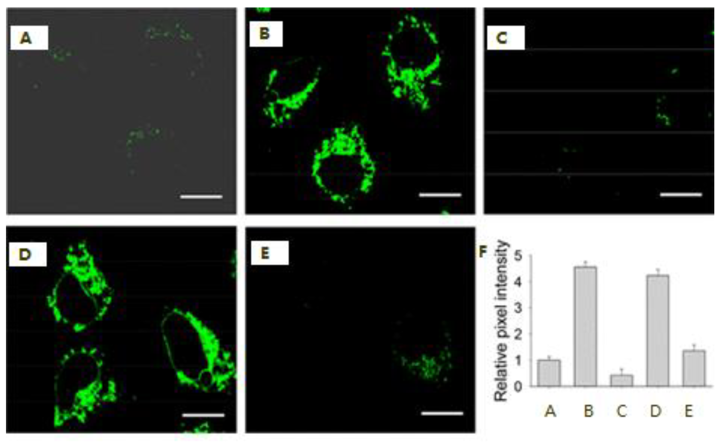 Molecules 28 01295 g011 Molecules 28 01295 g011