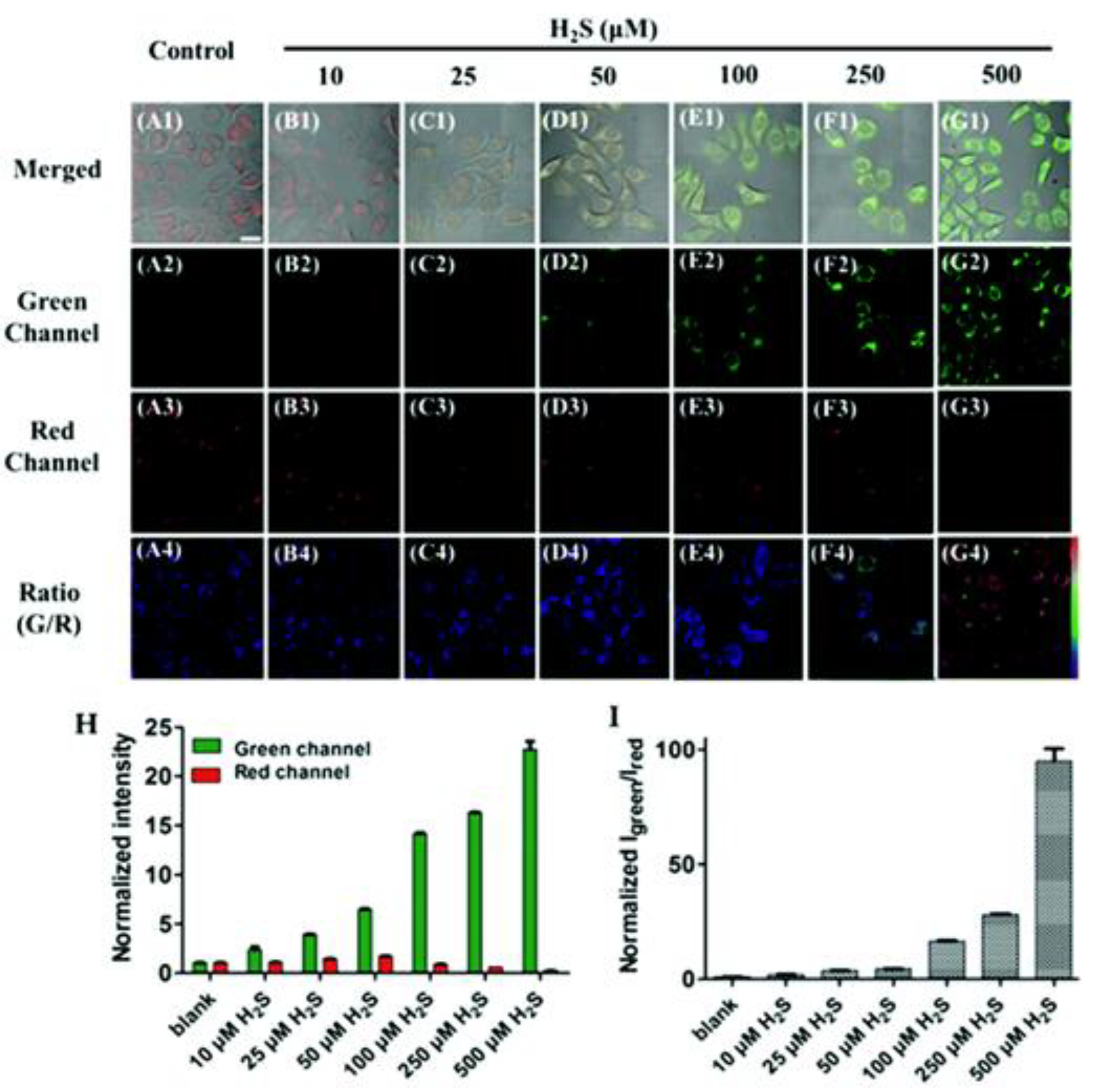 Molecules 28 01295 g016 Molecules 28 01295 g016