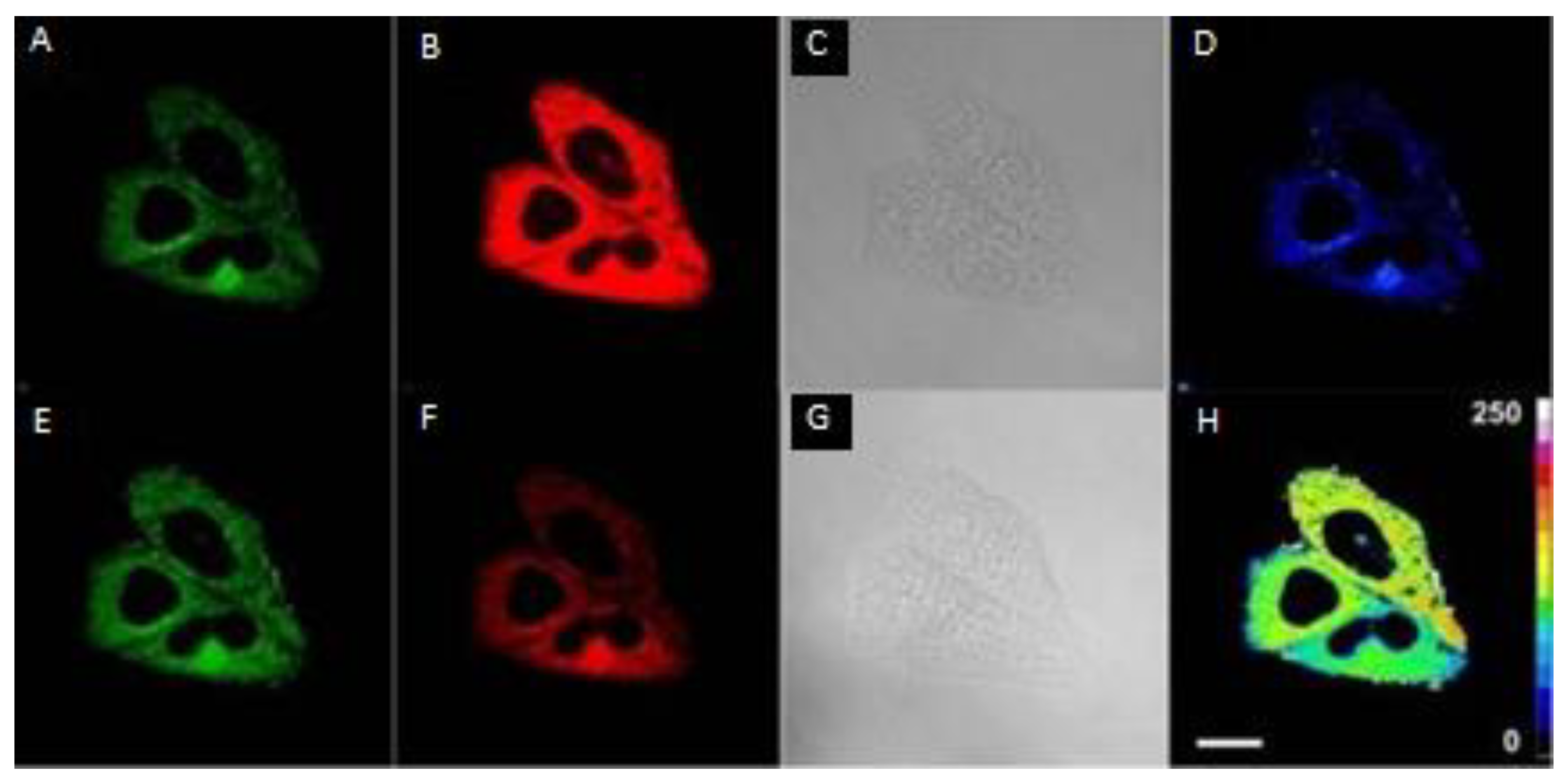 Molecules 28 01295 g017 Molecules 28 01295 g017