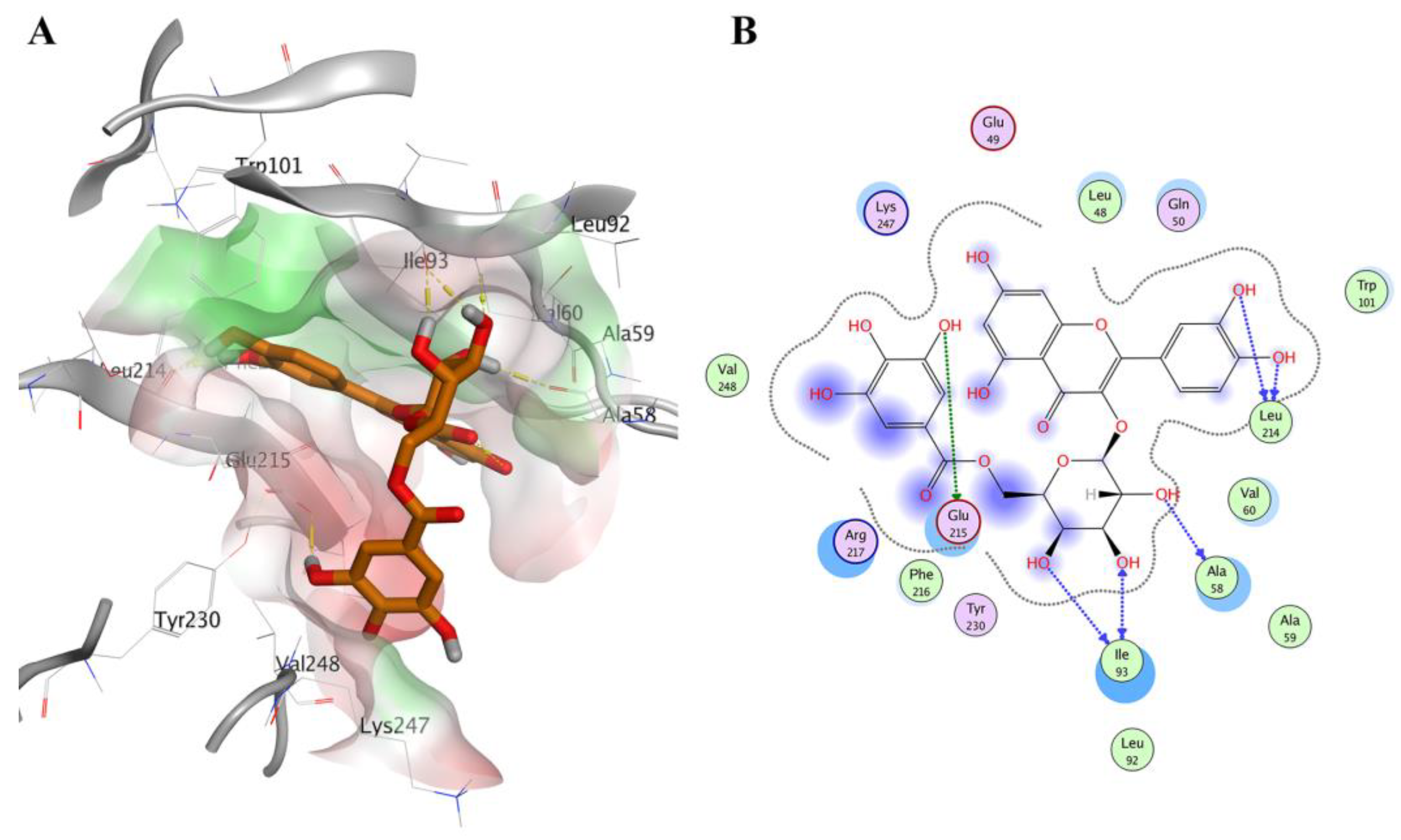 Molecules 28 01296 g005 Molecules 28 01296 g005