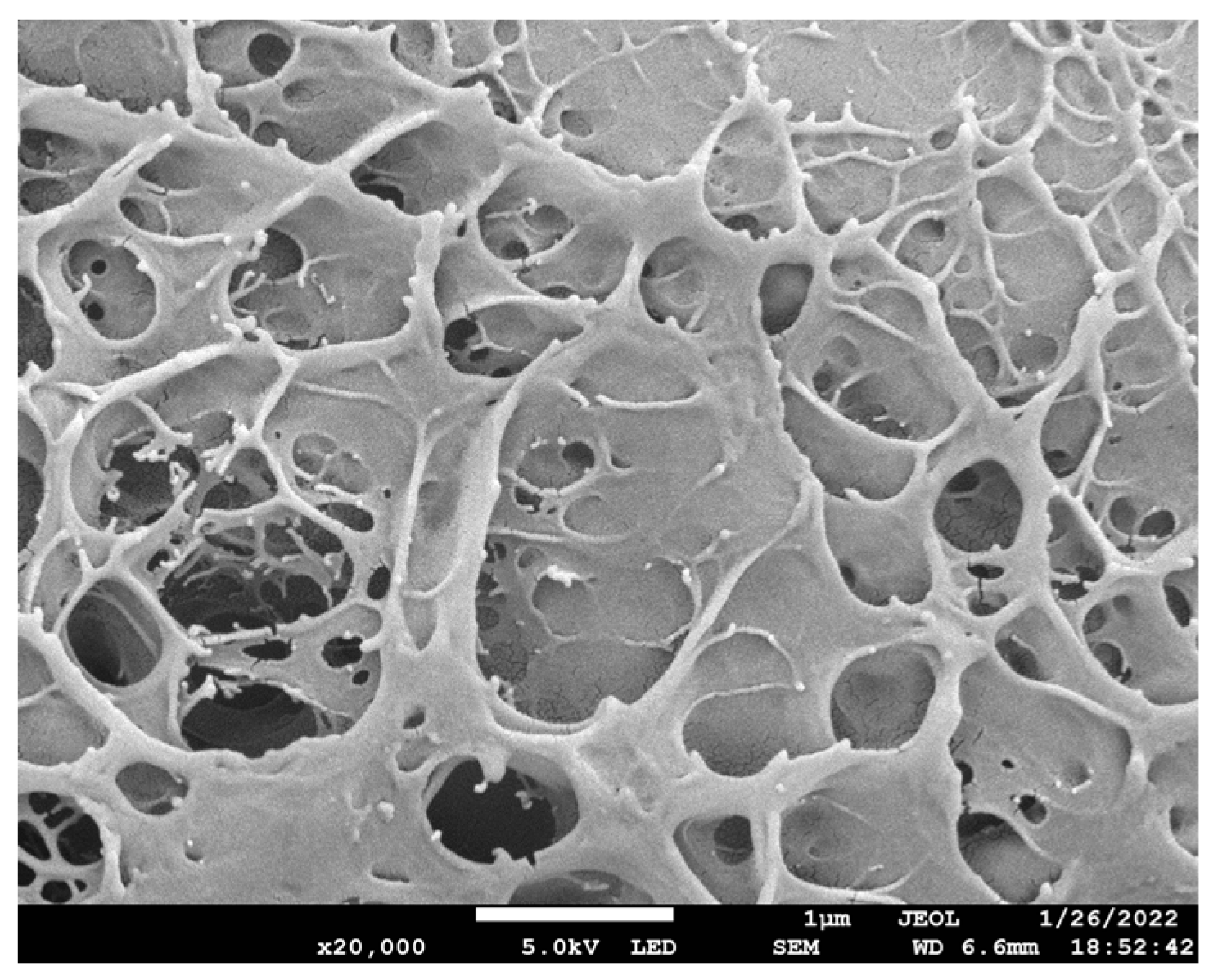 Molecules 28 01301 g001