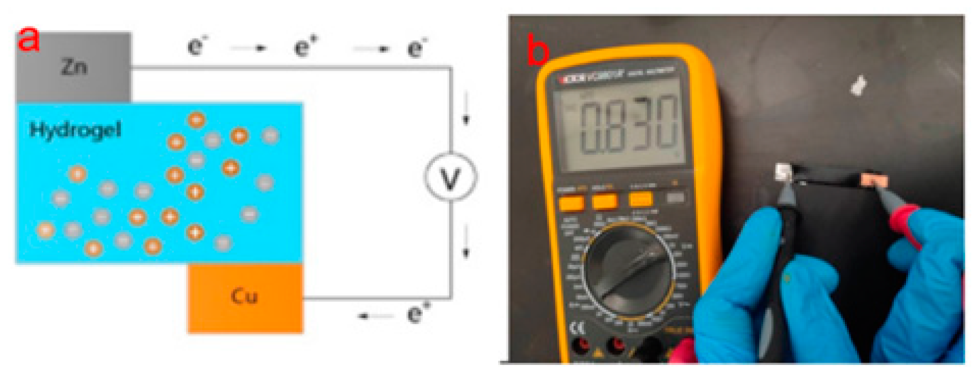Molecules 28 01301 g008