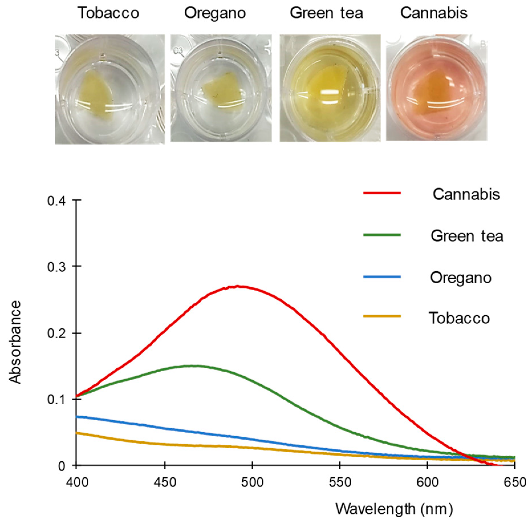 Molecules 28 01303 g005