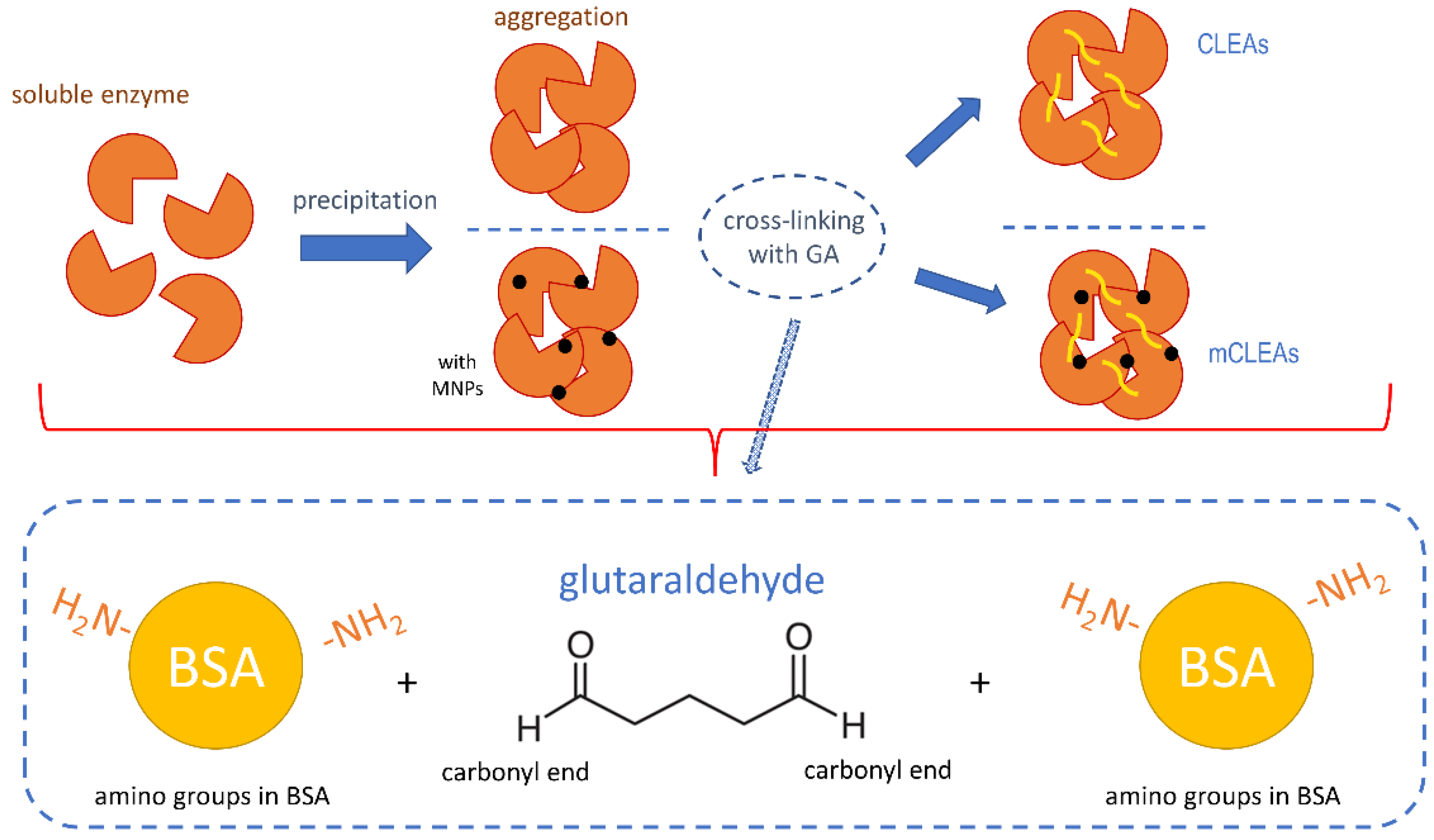 Molecules 28 01305 g007 Molecules 28 01305 g007