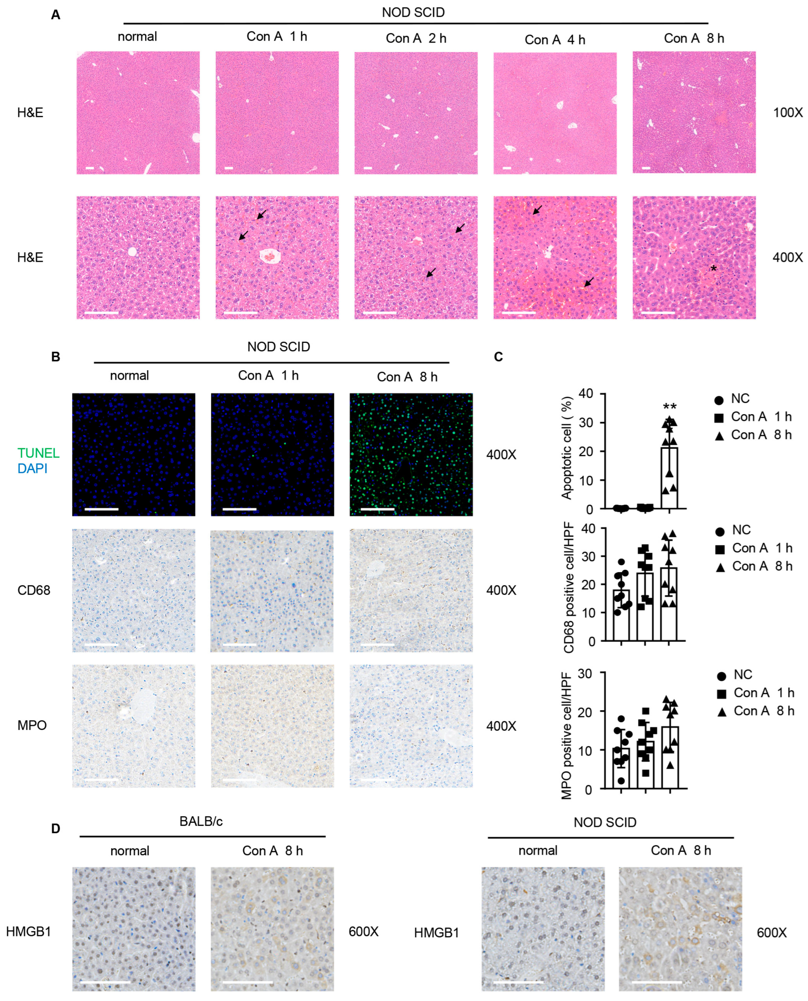 Molecules 28 01312 g002