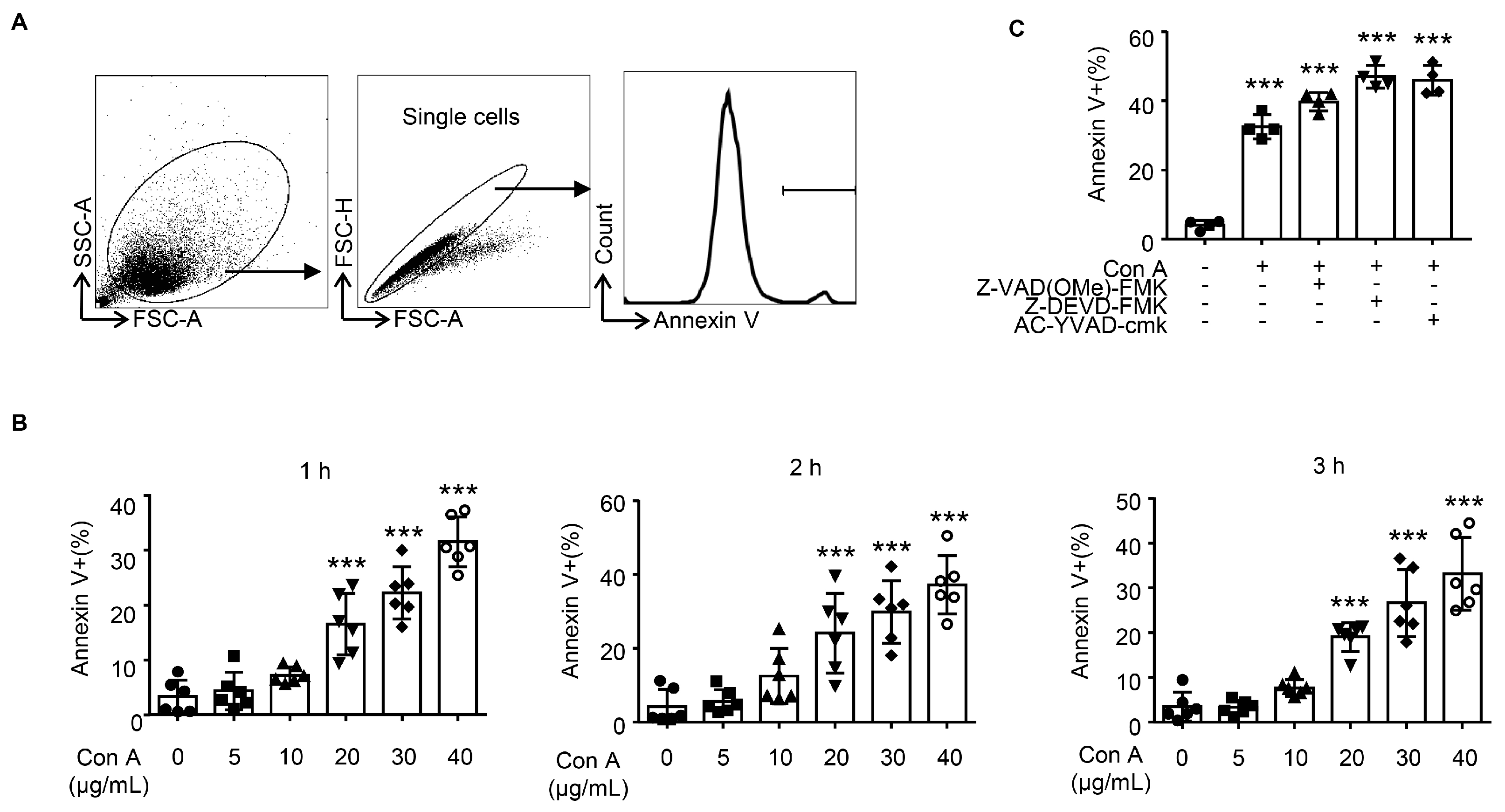 Molecules 28 01312 g003