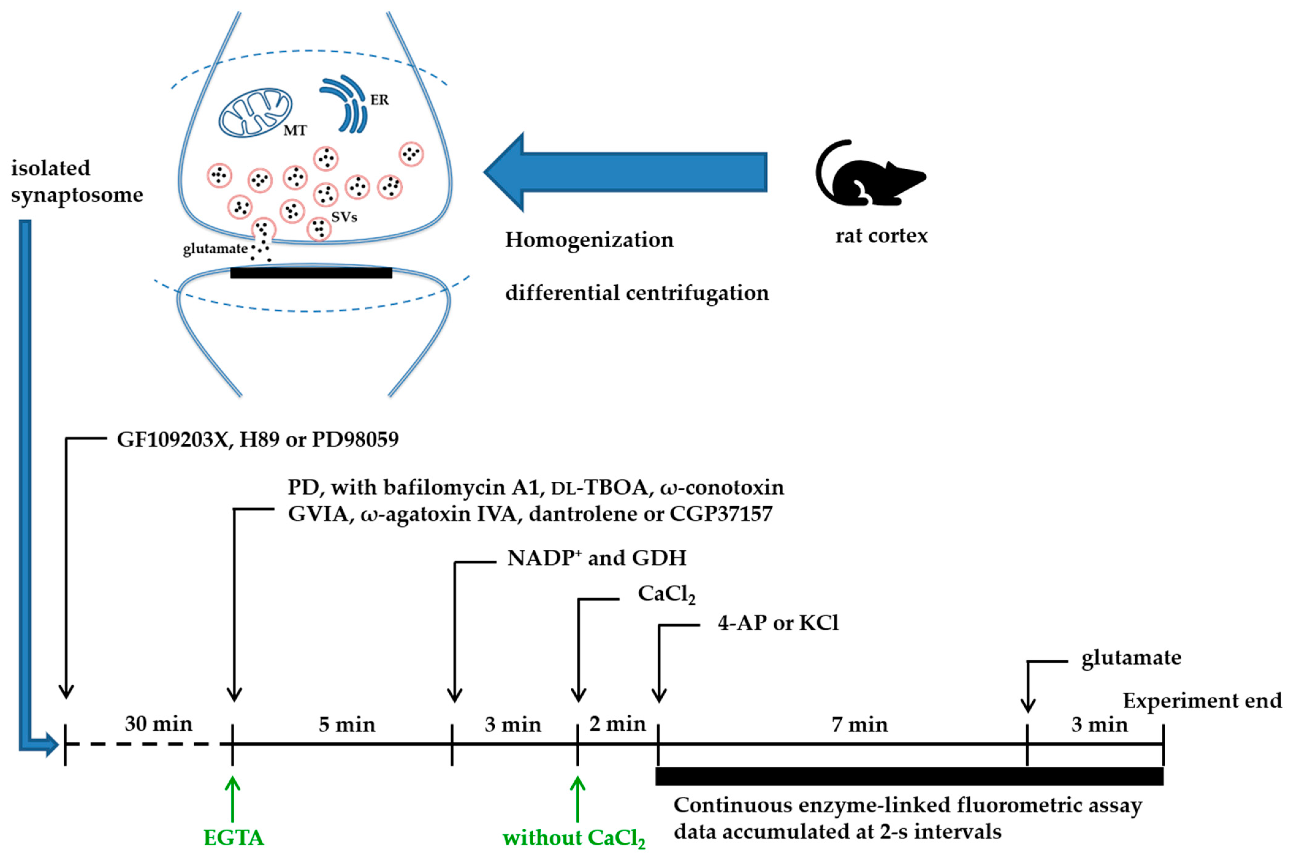 Molecules 28 01313 g001 Molecules 28 01313 g001