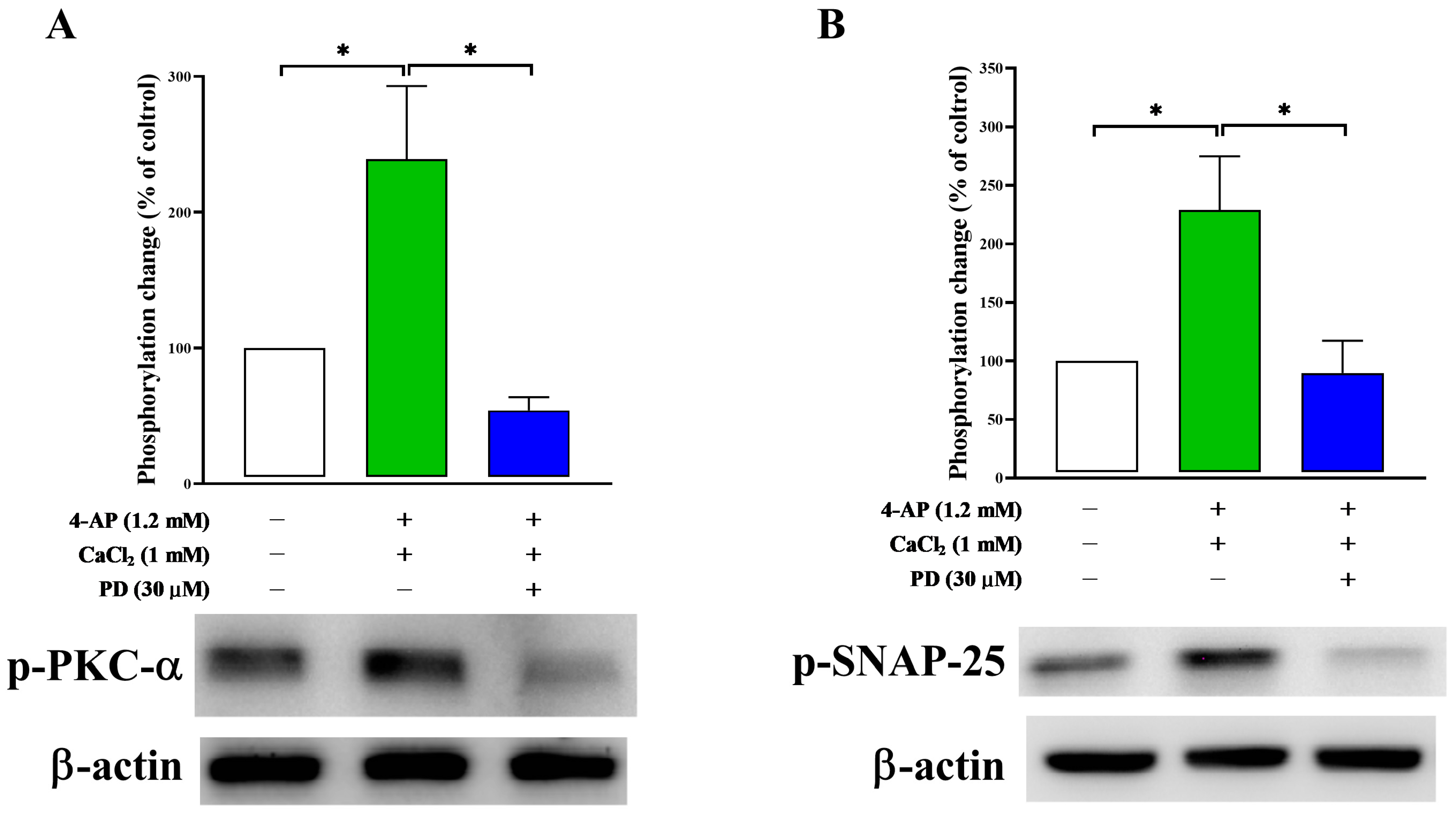Molecules 28 01313 g008 Molecules 28 01313 g008