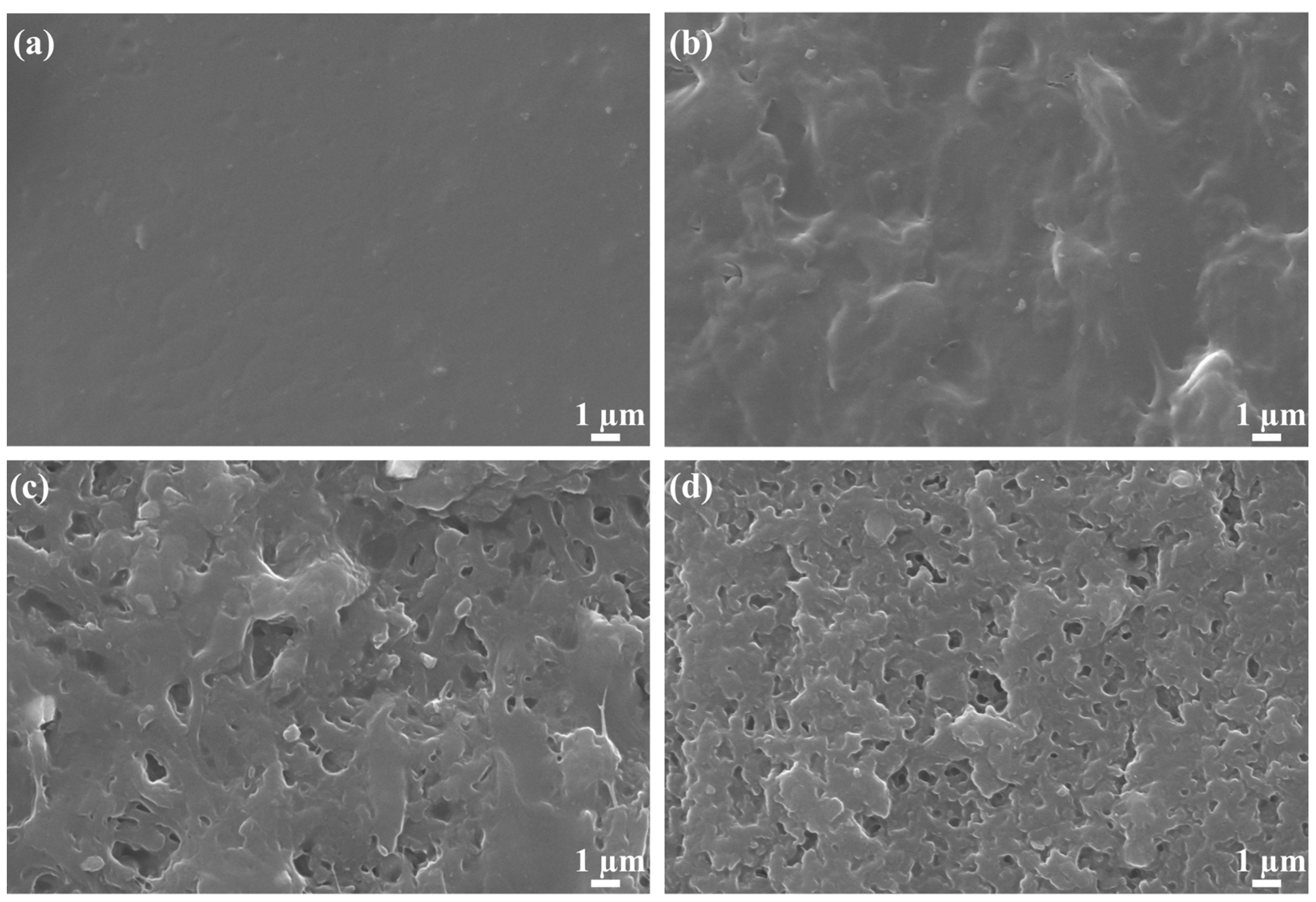 Molecules 28 01314 g001 Molecules 28 01314 g001