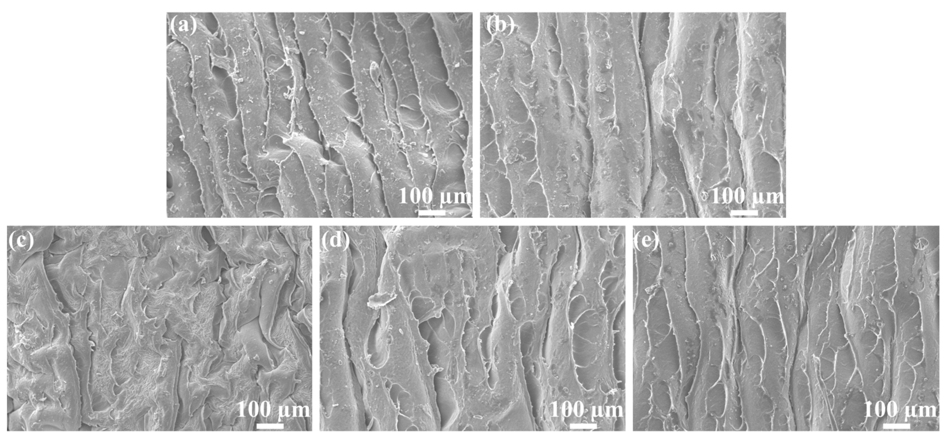 Molecules 28 01314 g009 Molecules 28 01314 g009