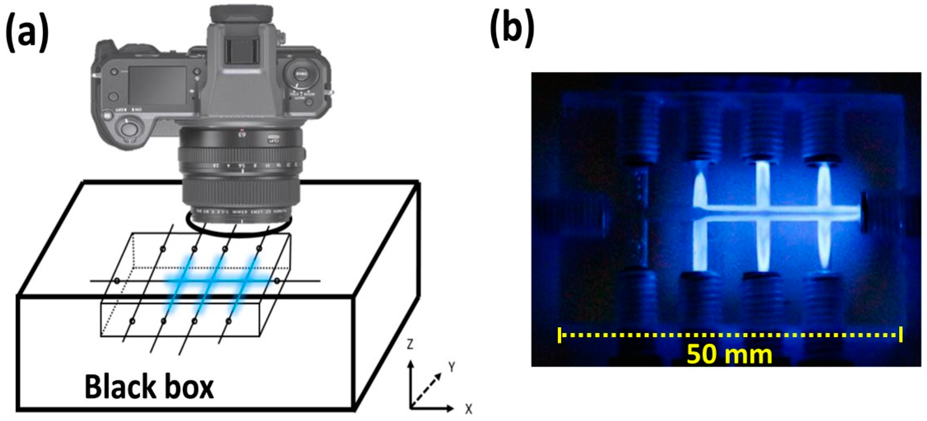 Molecules 28 01316 g001 Molecules 28 01316 g001