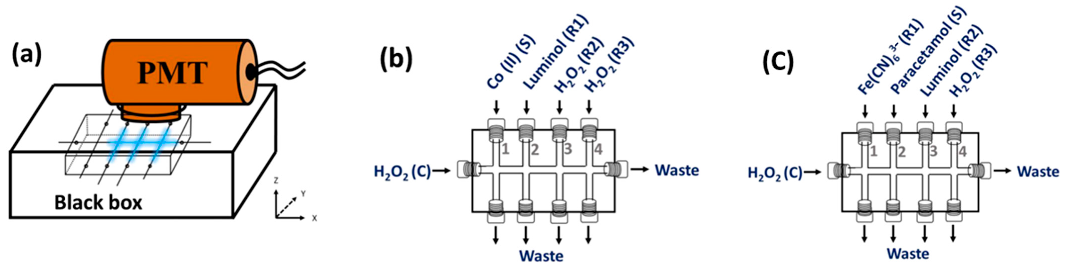 Molecules 28 01316 g004 Molecules 28 01316 g004