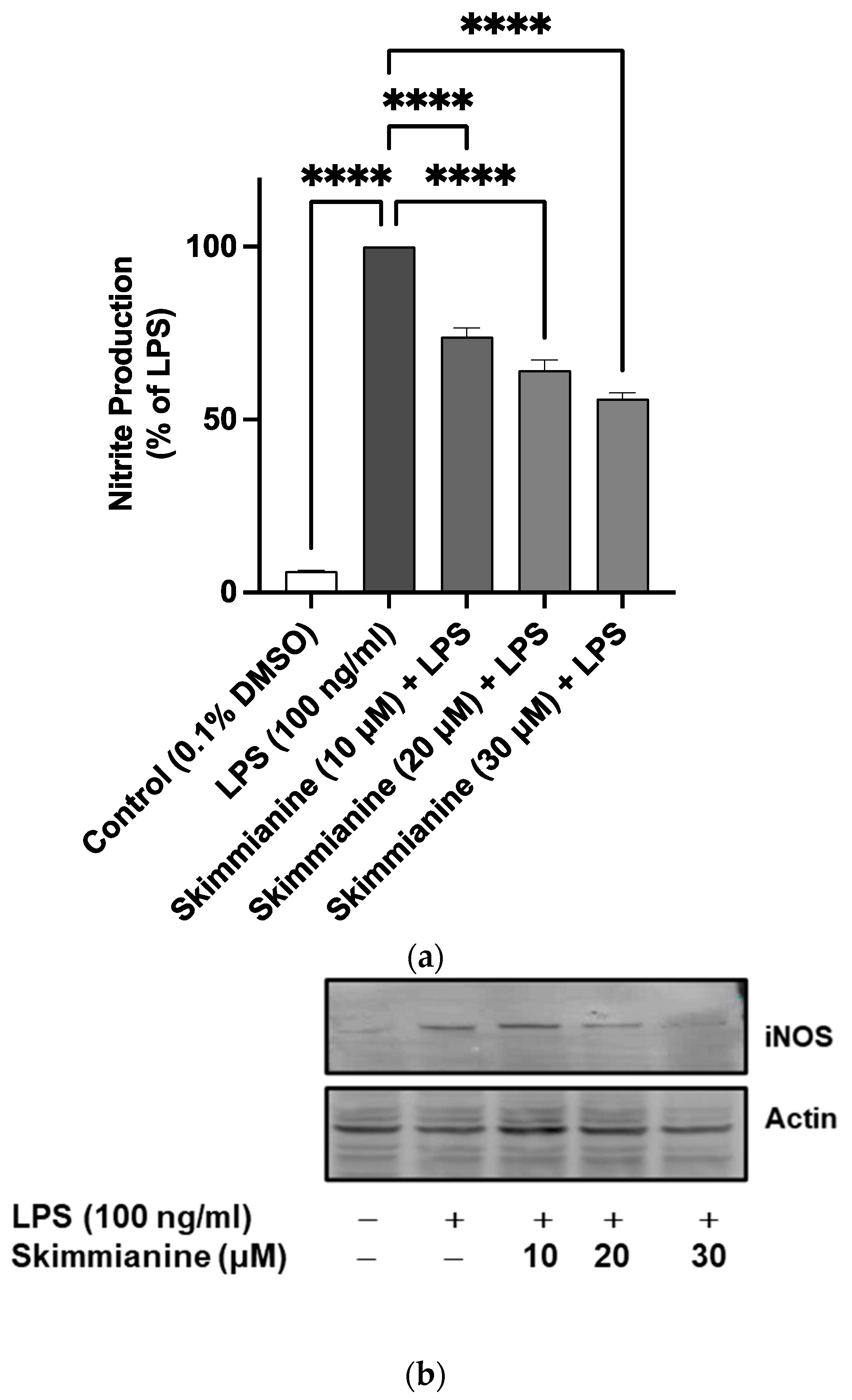 Molecules 28 01317 g004a Molecules 28 01317 g004a