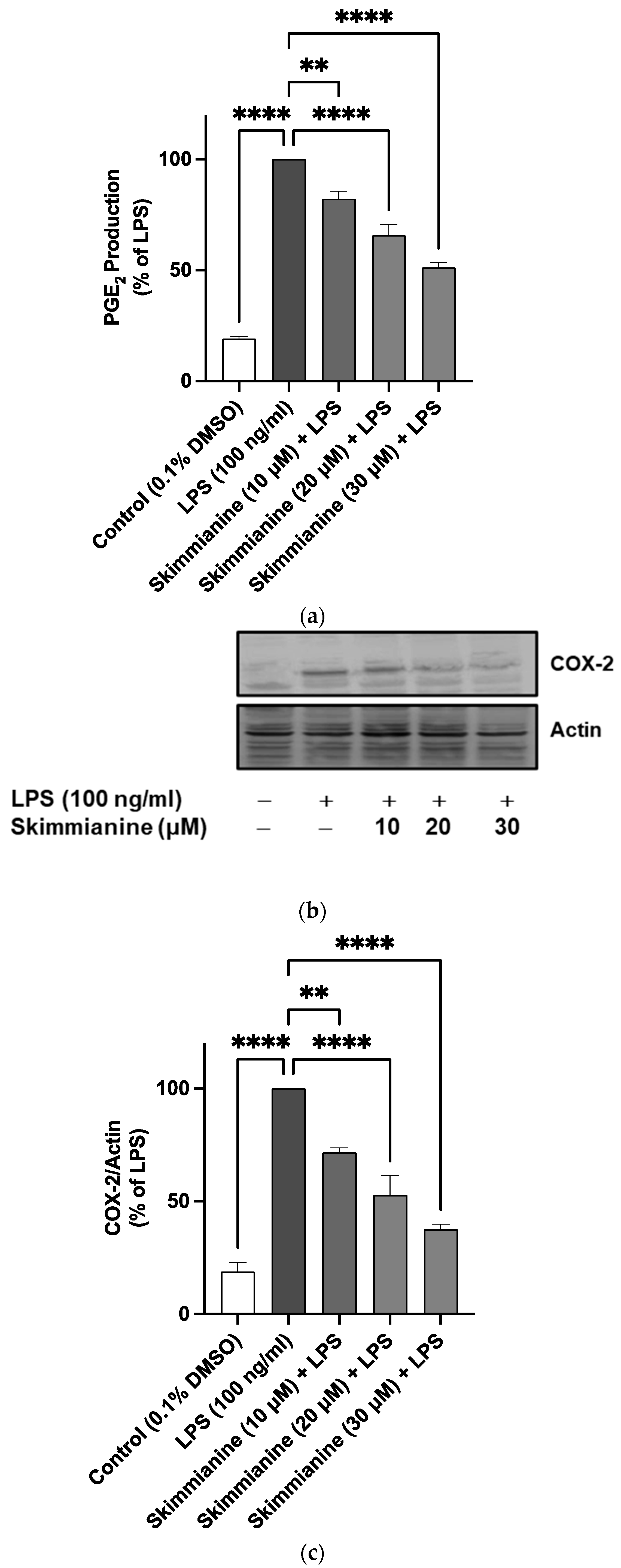Molecules 28 01317 g005 Molecules 28 01317 g005