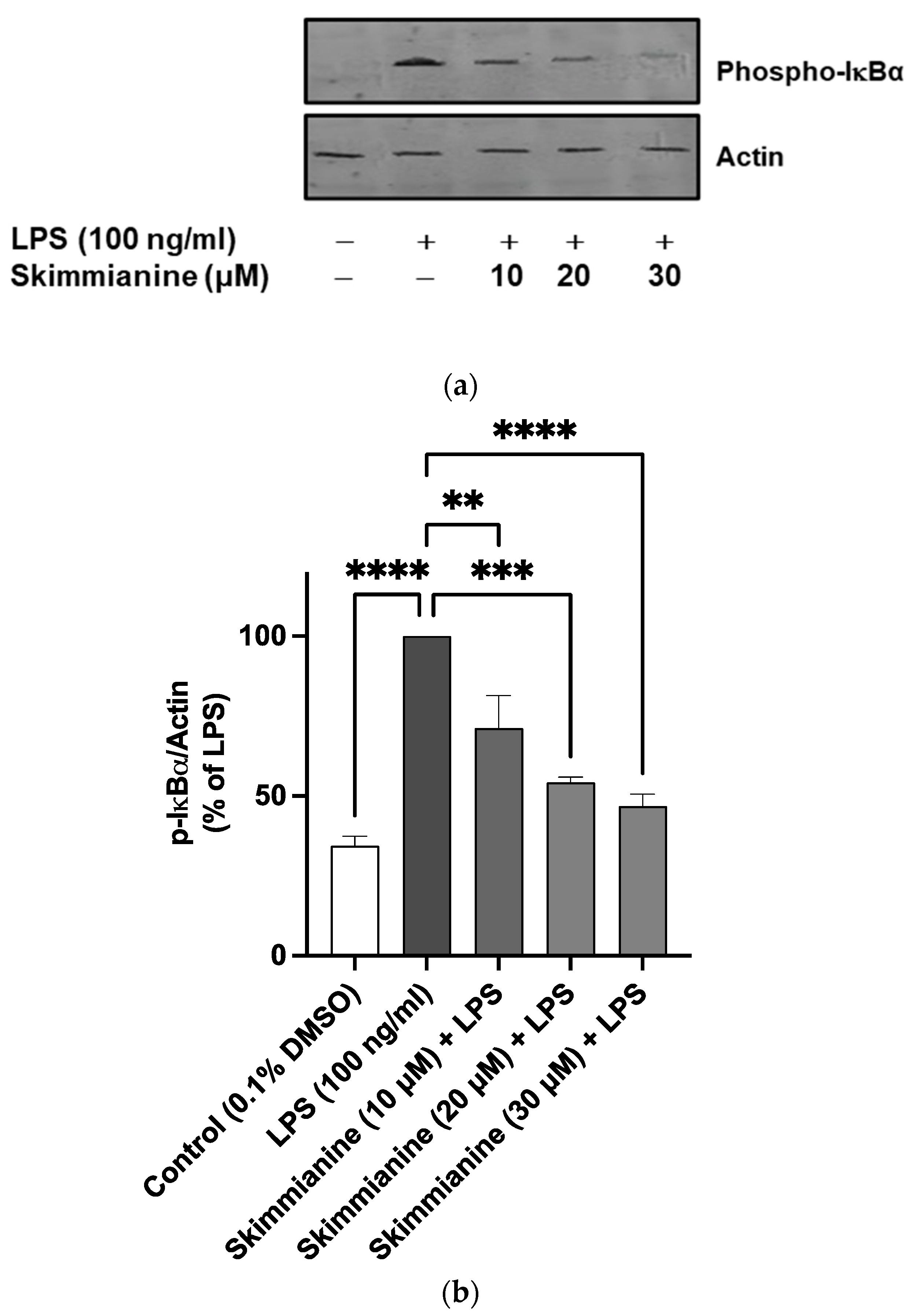 Molecules 28 01317 g007 Molecules 28 01317 g007