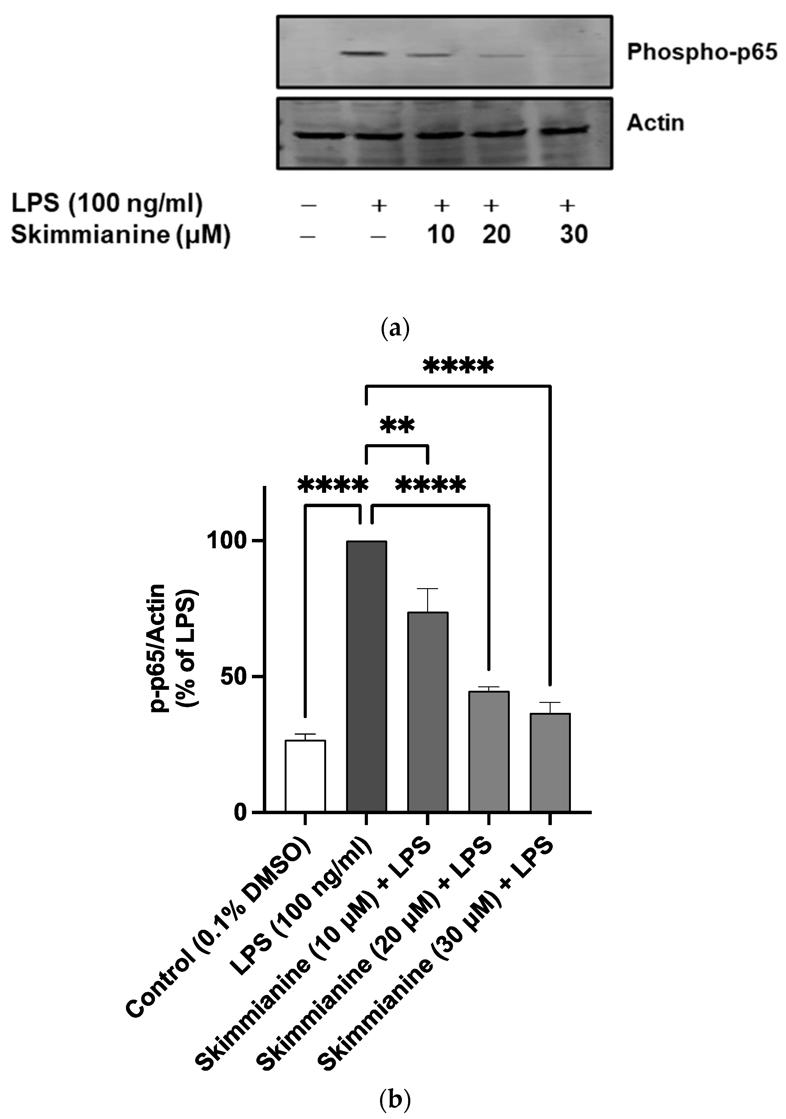 Molecules 28 01317 g008 Molecules 28 01317 g008