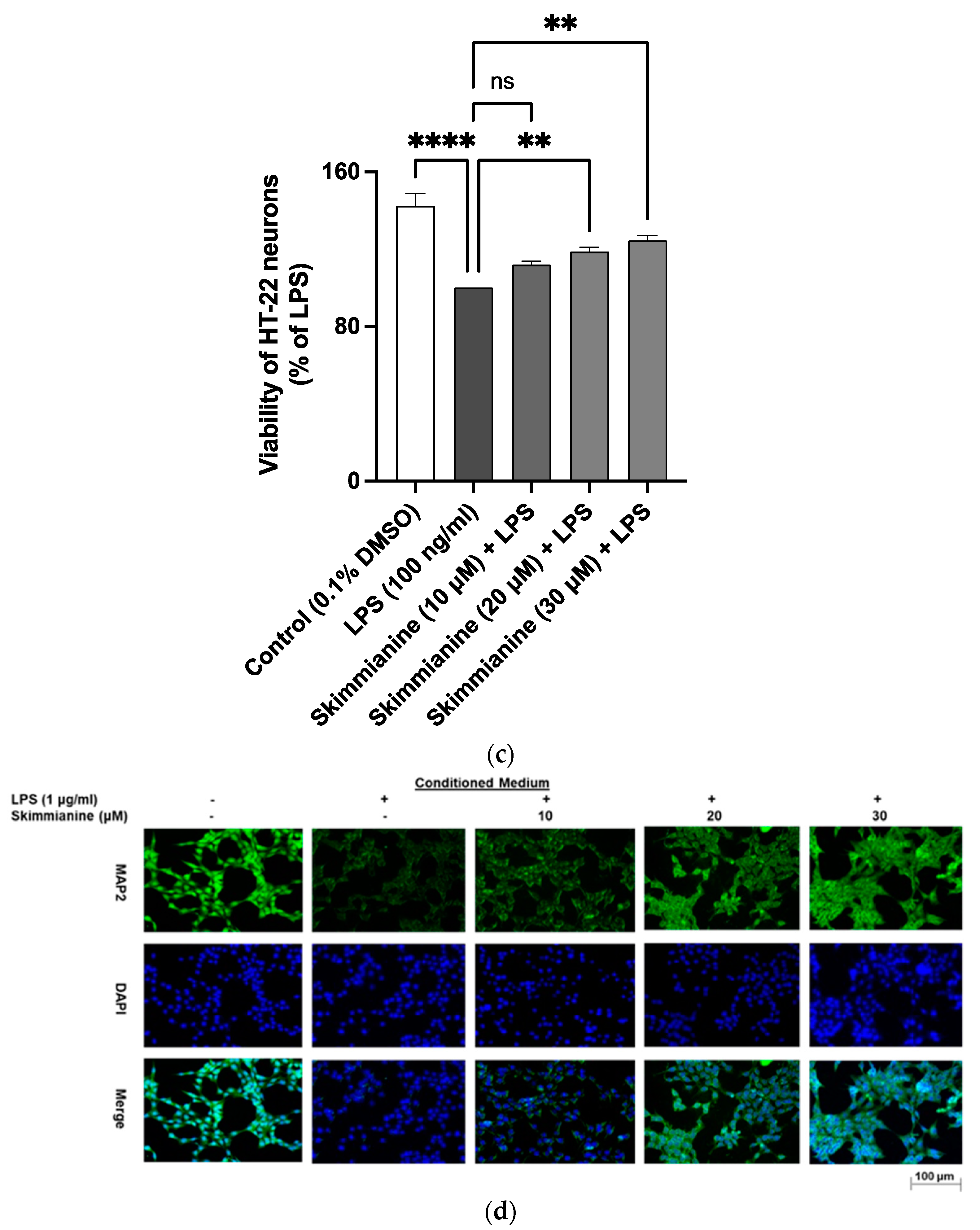 Molecules 28 01317 g010b Molecules 28 01317 g010b
