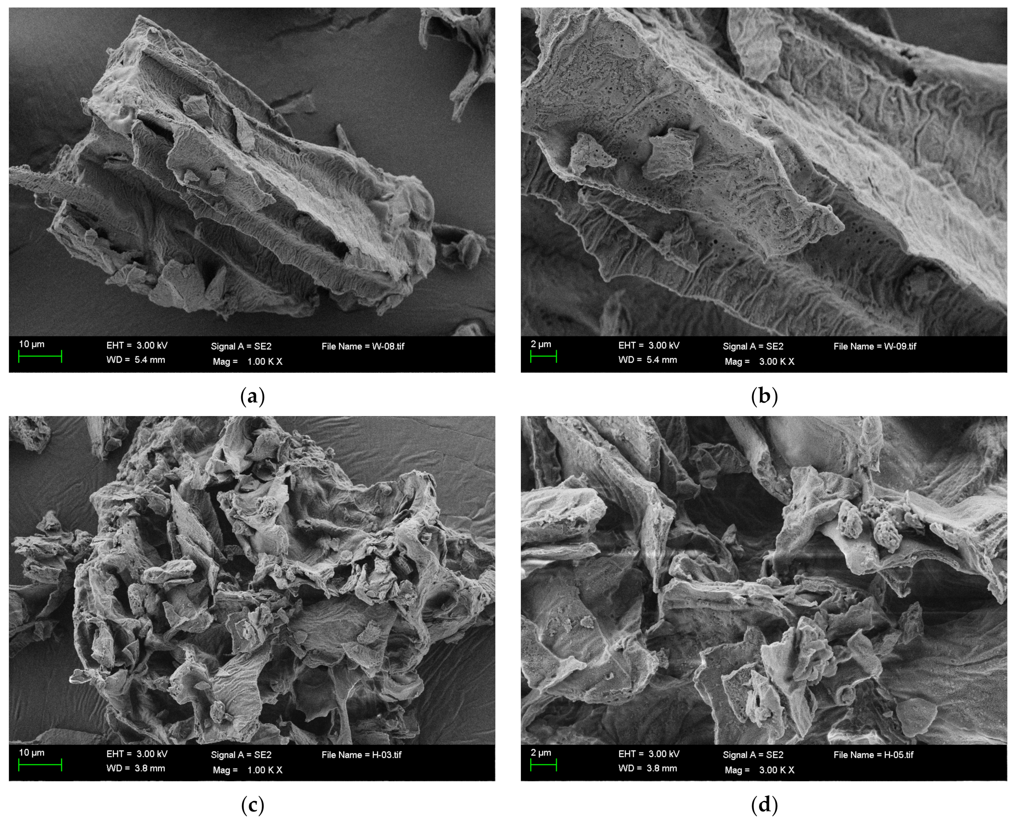 Molecules 28 01322 g002