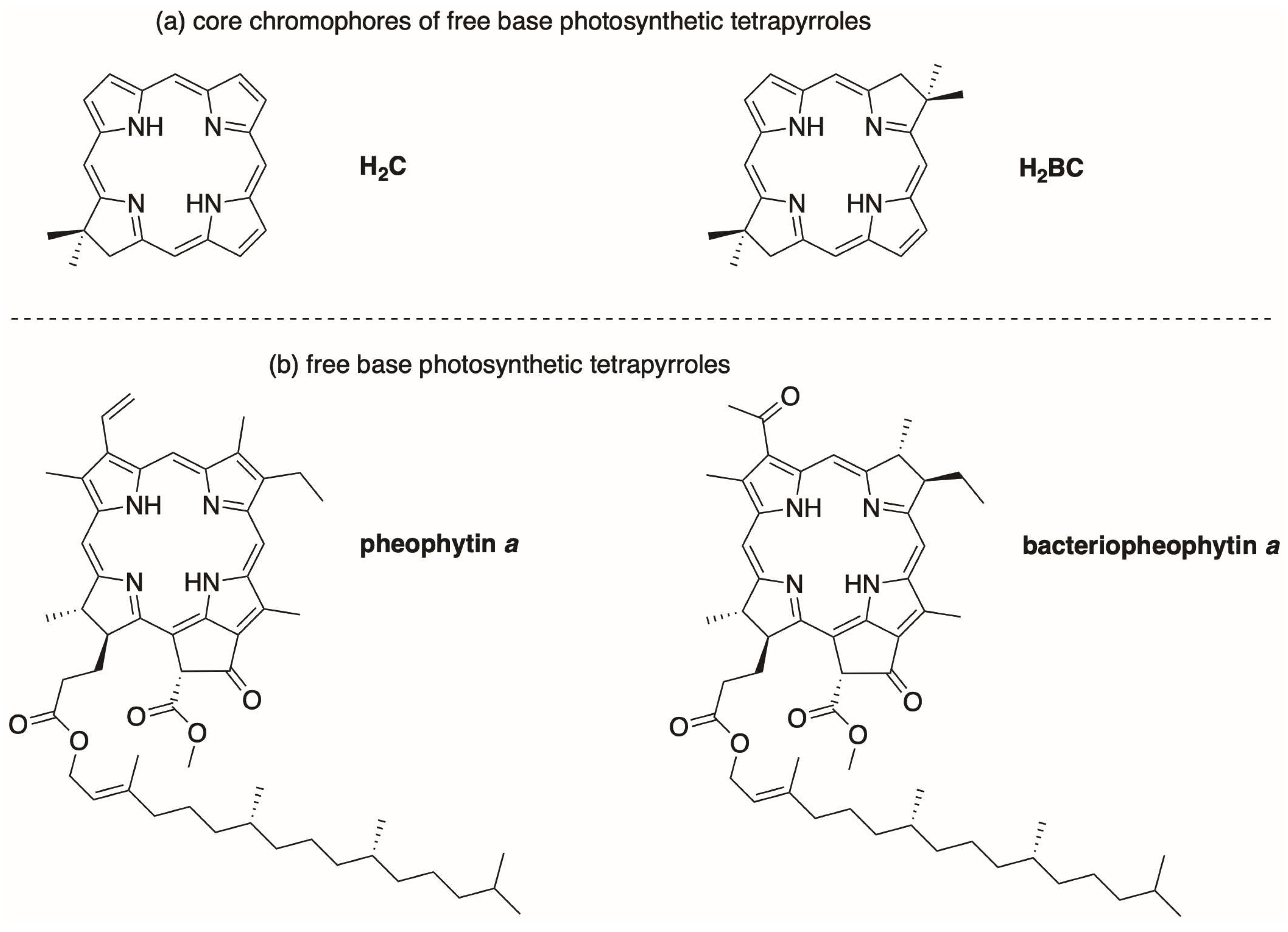 Molecules 28 01323 ch002 Molecules 28 01323 ch002