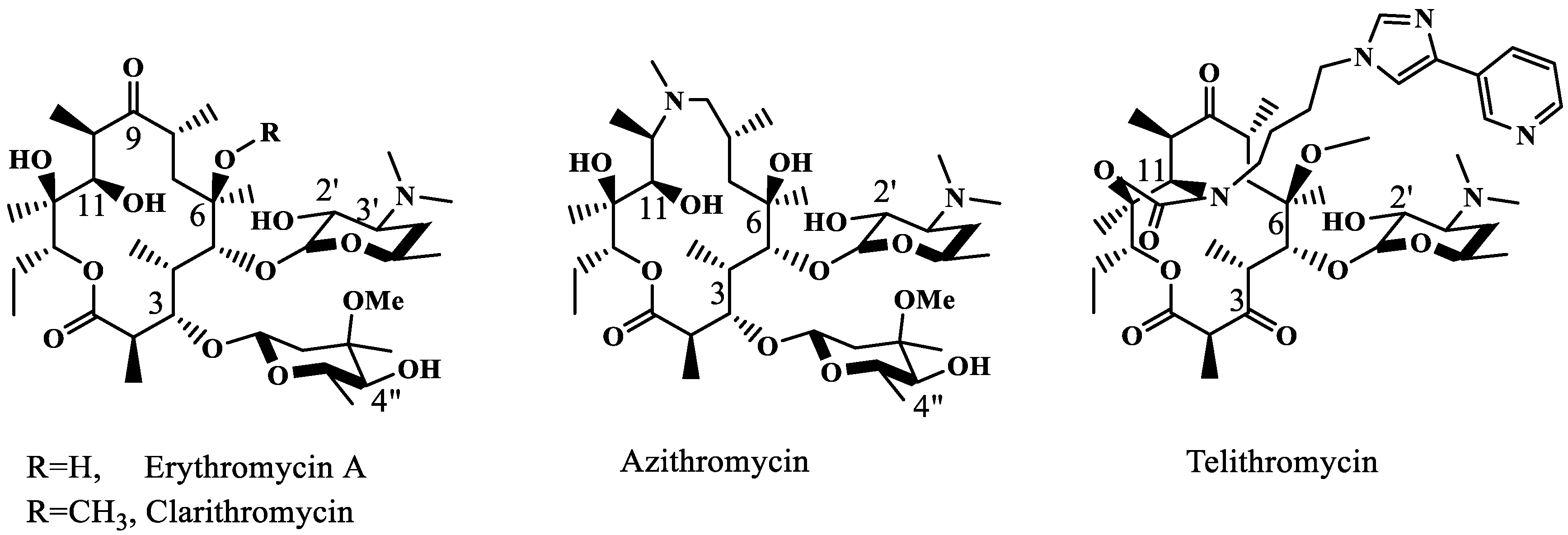 Molecules 28 01327 g001