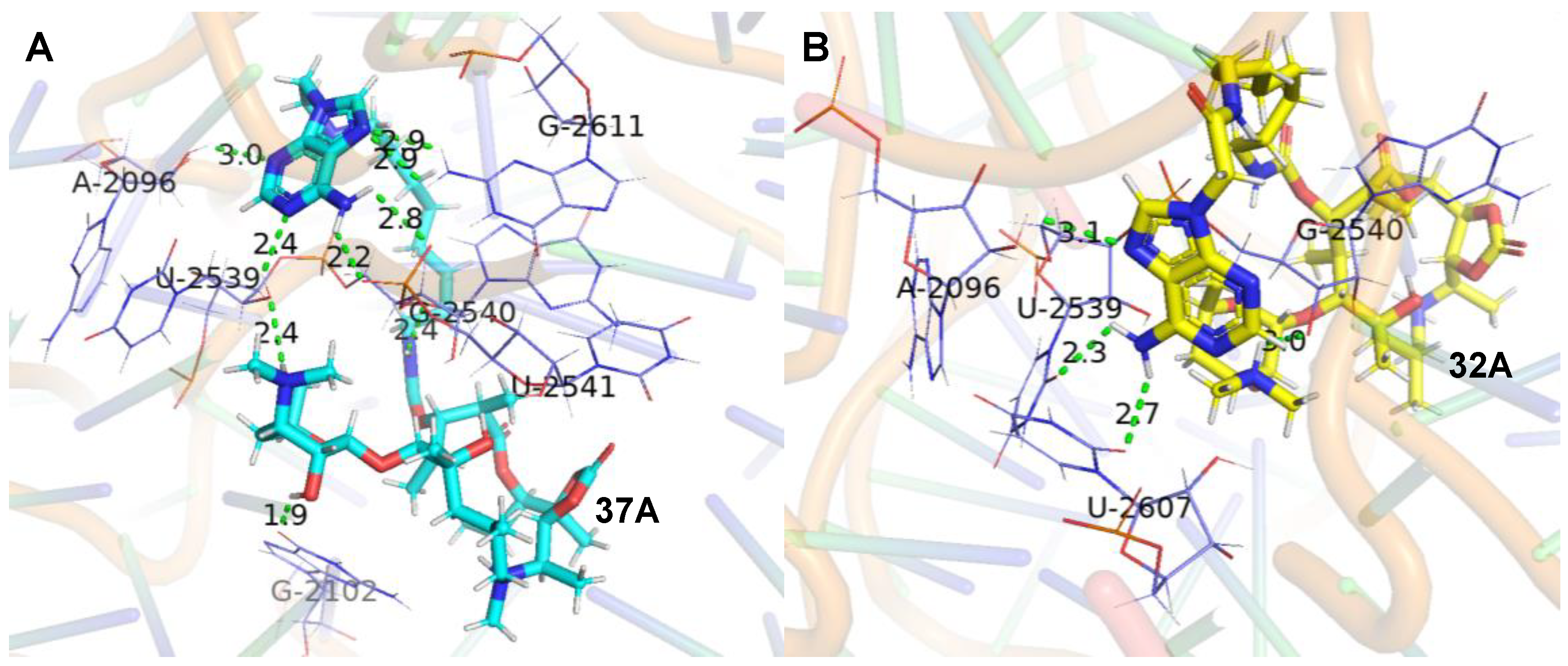 Molecules 28 01327 g002