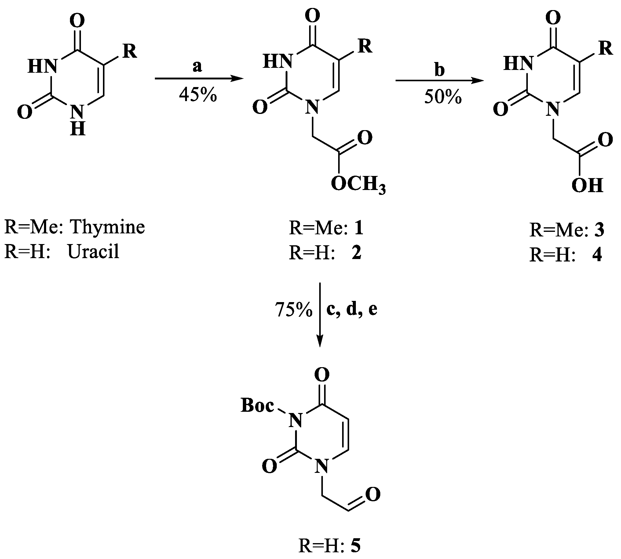 Molecules 28 01327 sch001