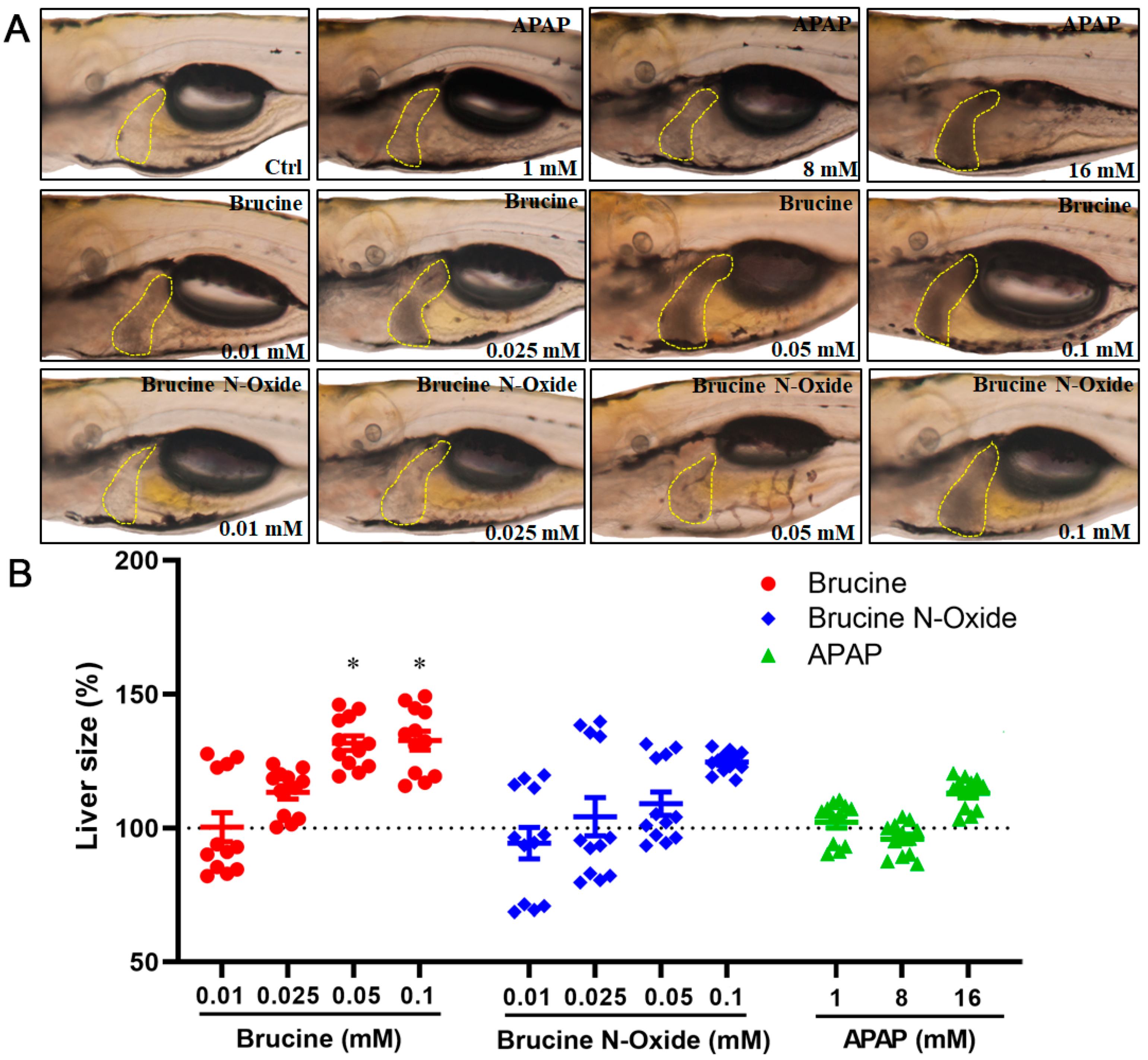 Molecules 28 01341 g002 Molecules 28 01341 g002