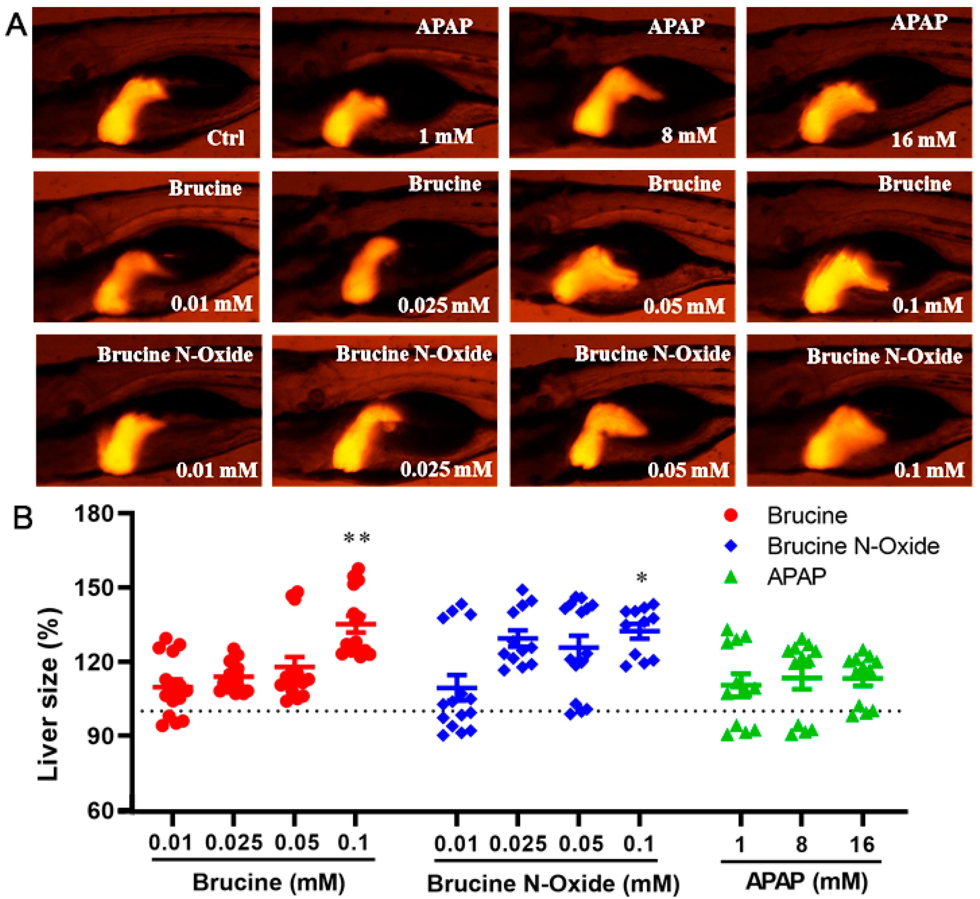 Molecules 28 01341 g003 Molecules 28 01341 g003