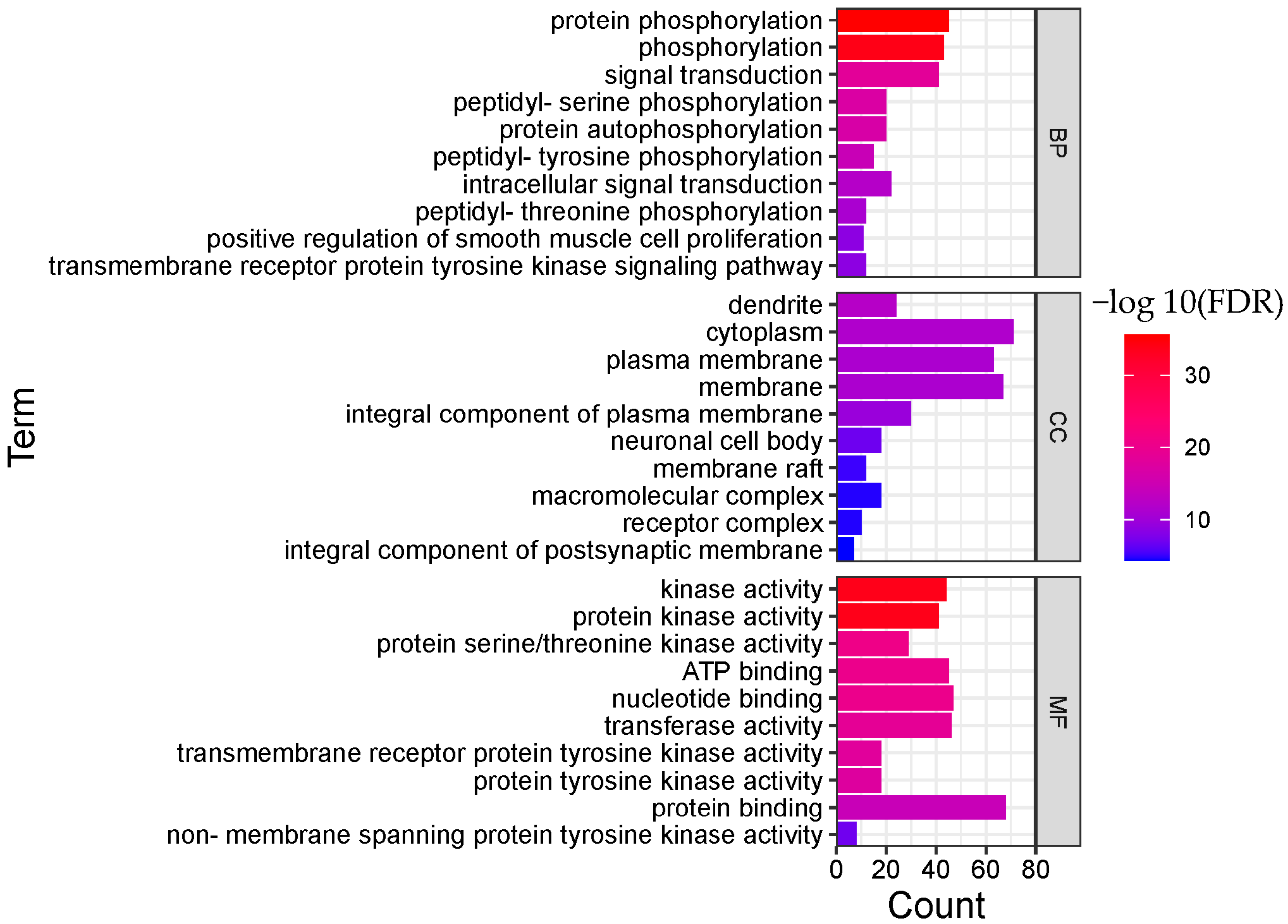 Molecules 28 01341 g004 Molecules 28 01341 g004
