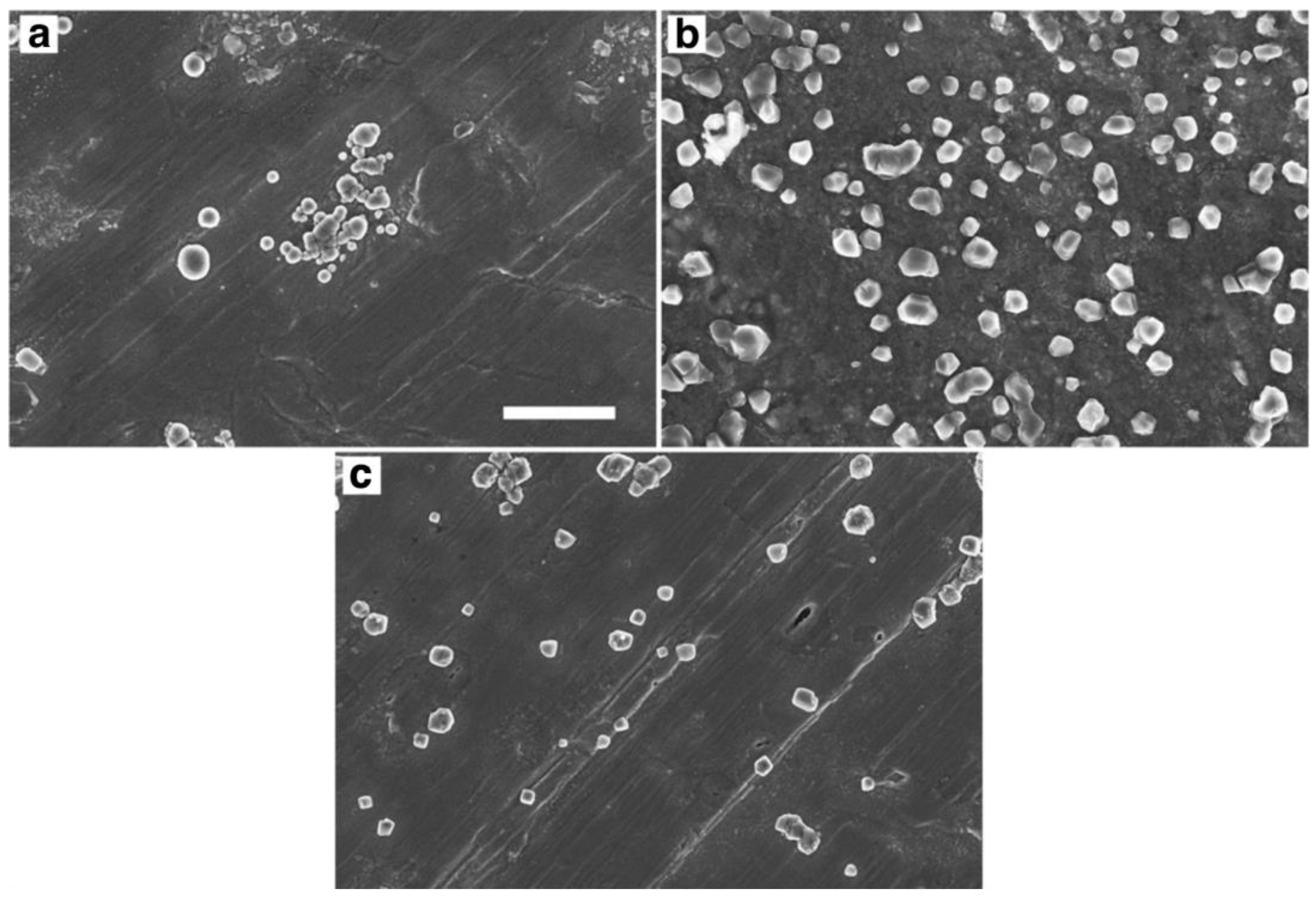 Molecules 28 01361 g002