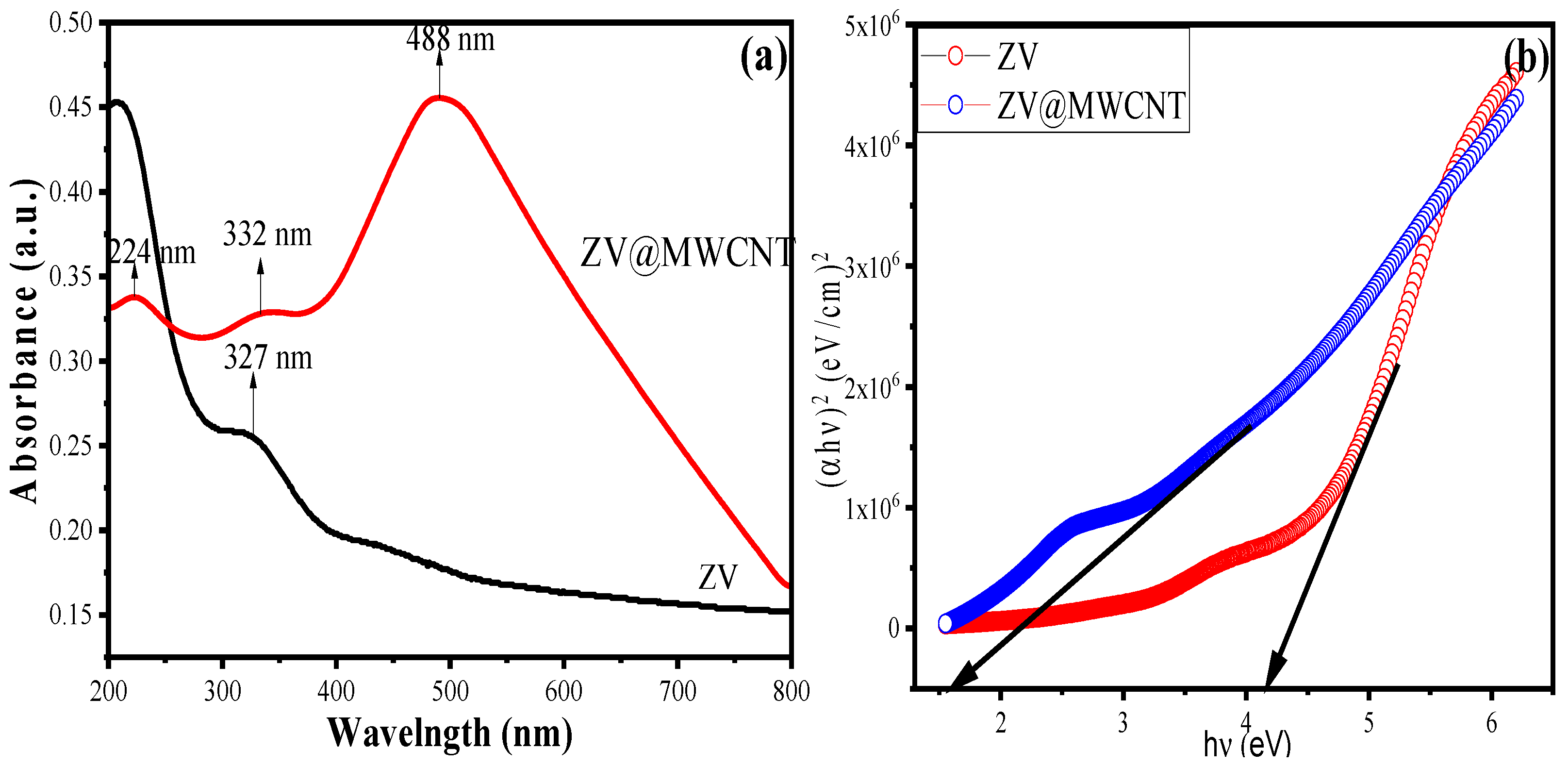 Molecules 28 01362 g006