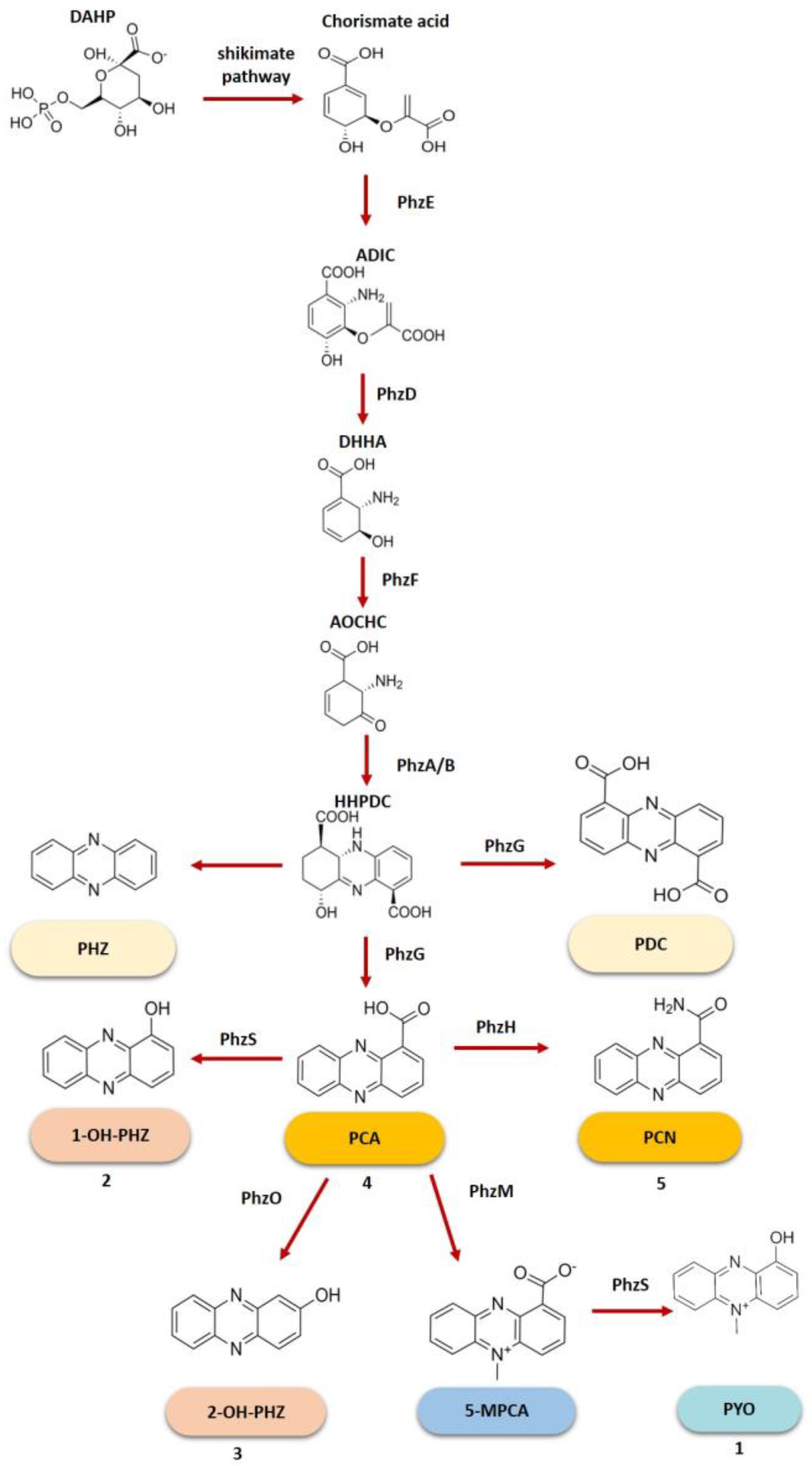 Molecules 28 01368 g003 Molecules 28 01368 g003