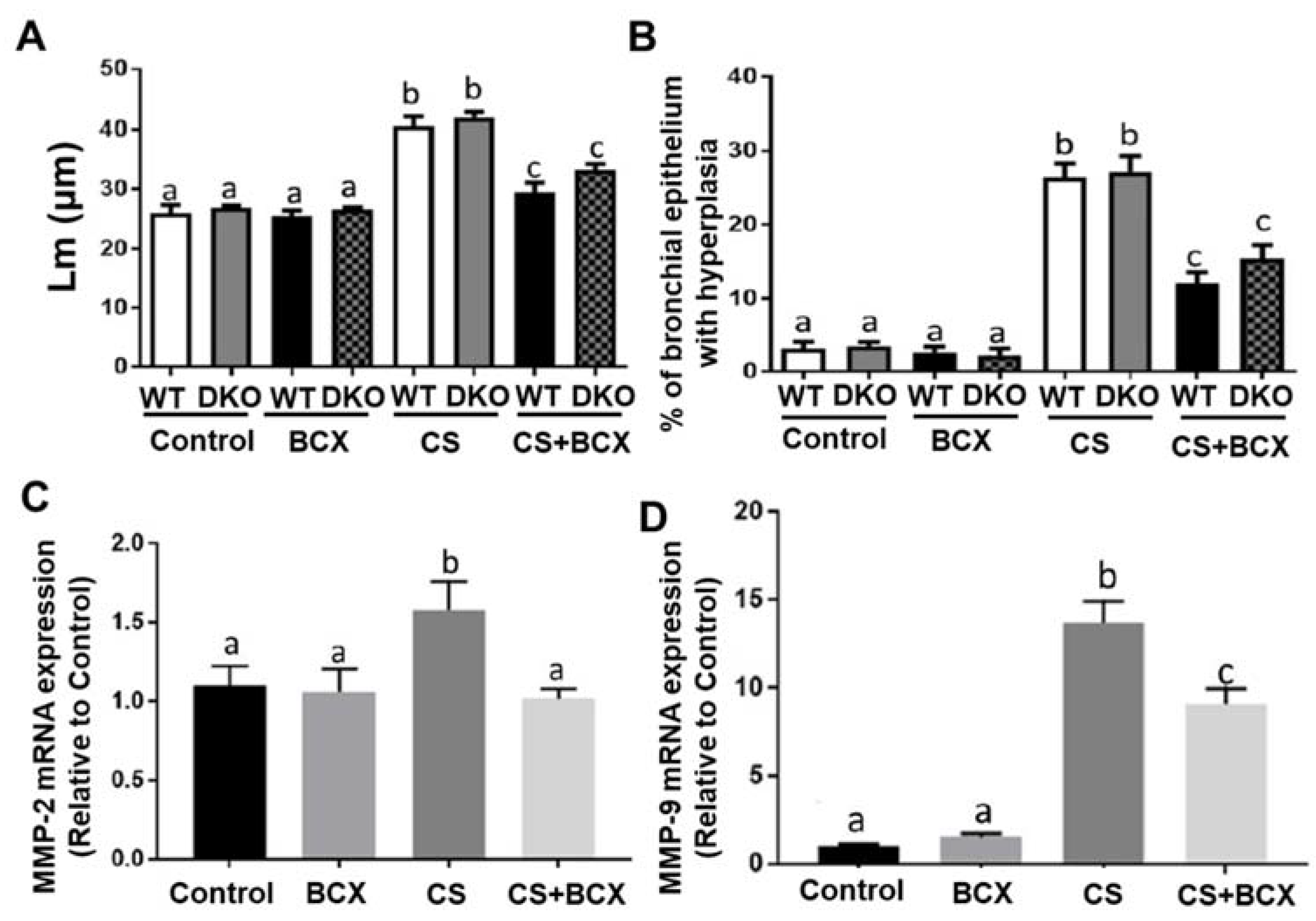 Molecules 28 01383 g004 Molecules 28 01383 g004